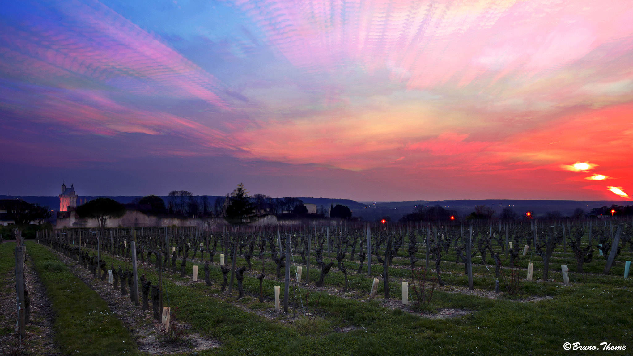 Sigma 17-50mm F2.8 EX DC HSM sample photo. Sunset in the vineyard photography