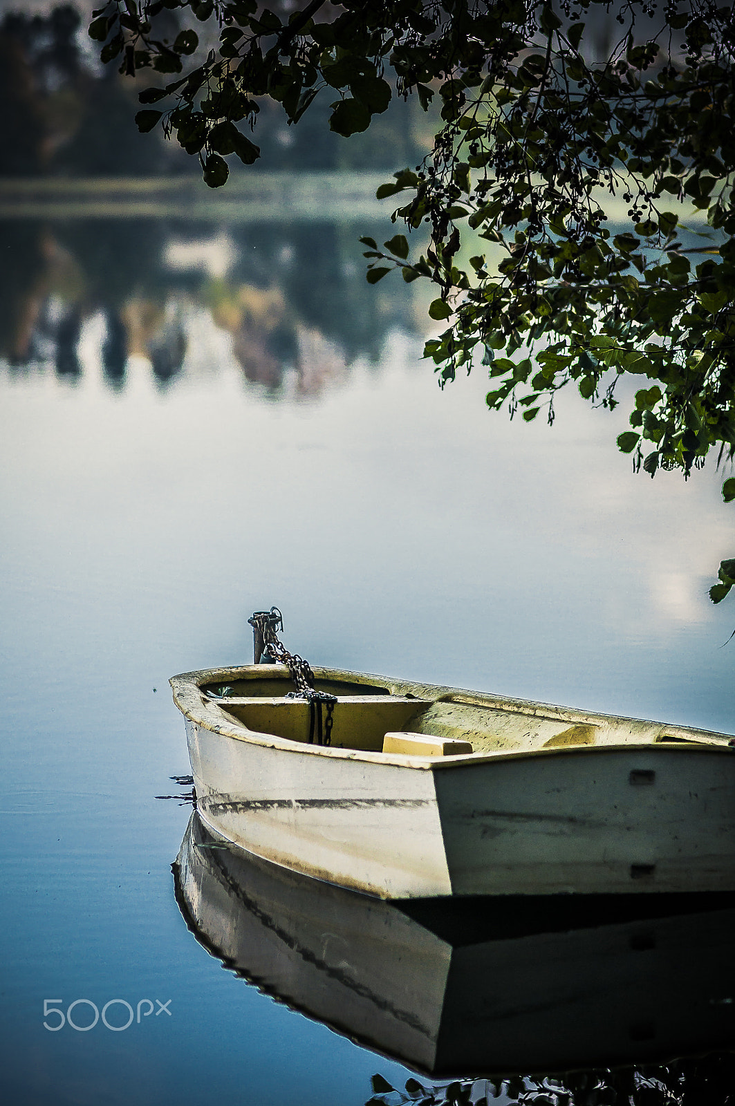 Nikon D5000 + Sigma 85mm F1.4 EX DG HSM sample photo. Ukiel lake, olsztyn, poland photography