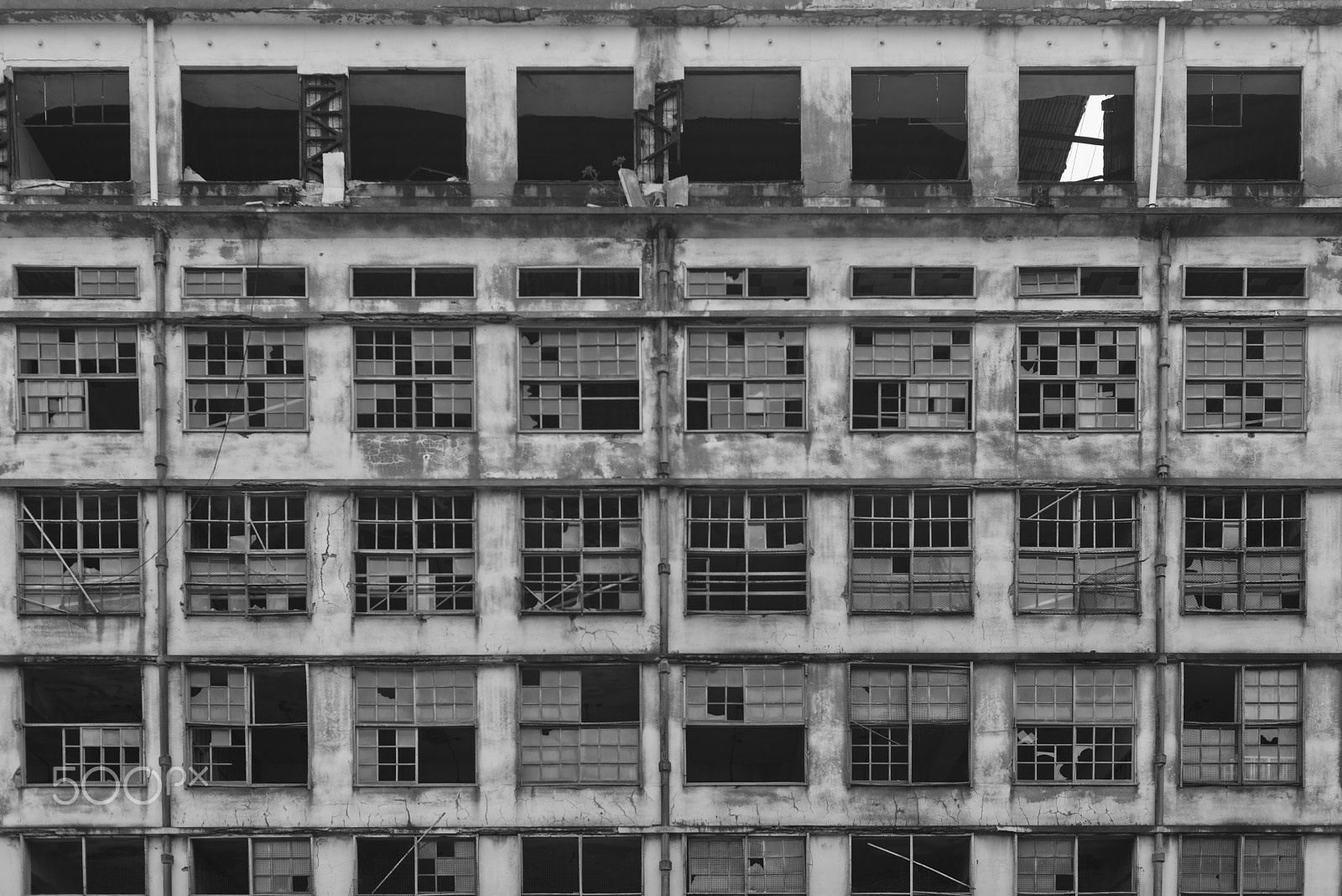 Nikon D600 sample photo. Island bw photography