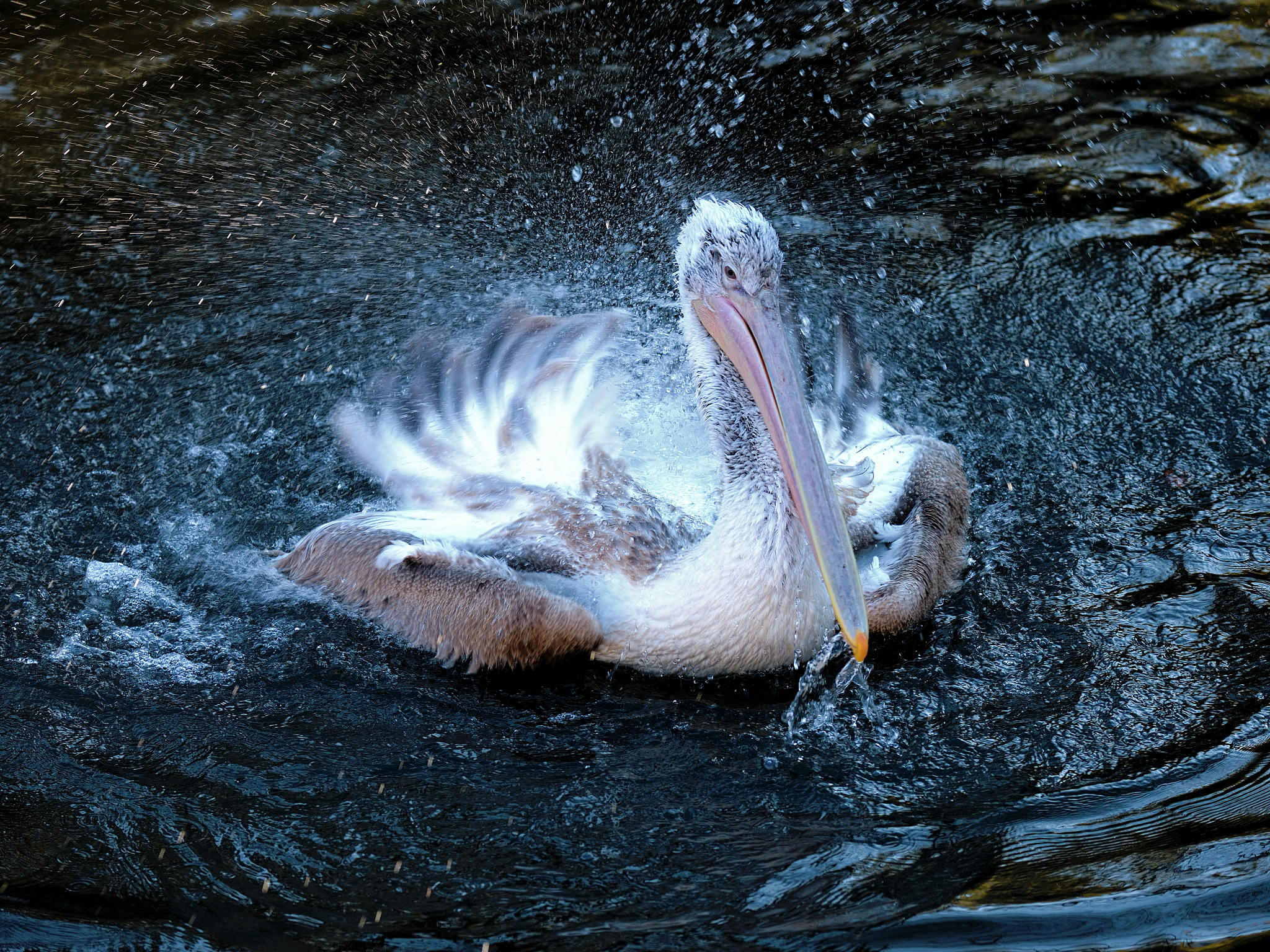 Nikon D3X sample photo. Nightflight photography