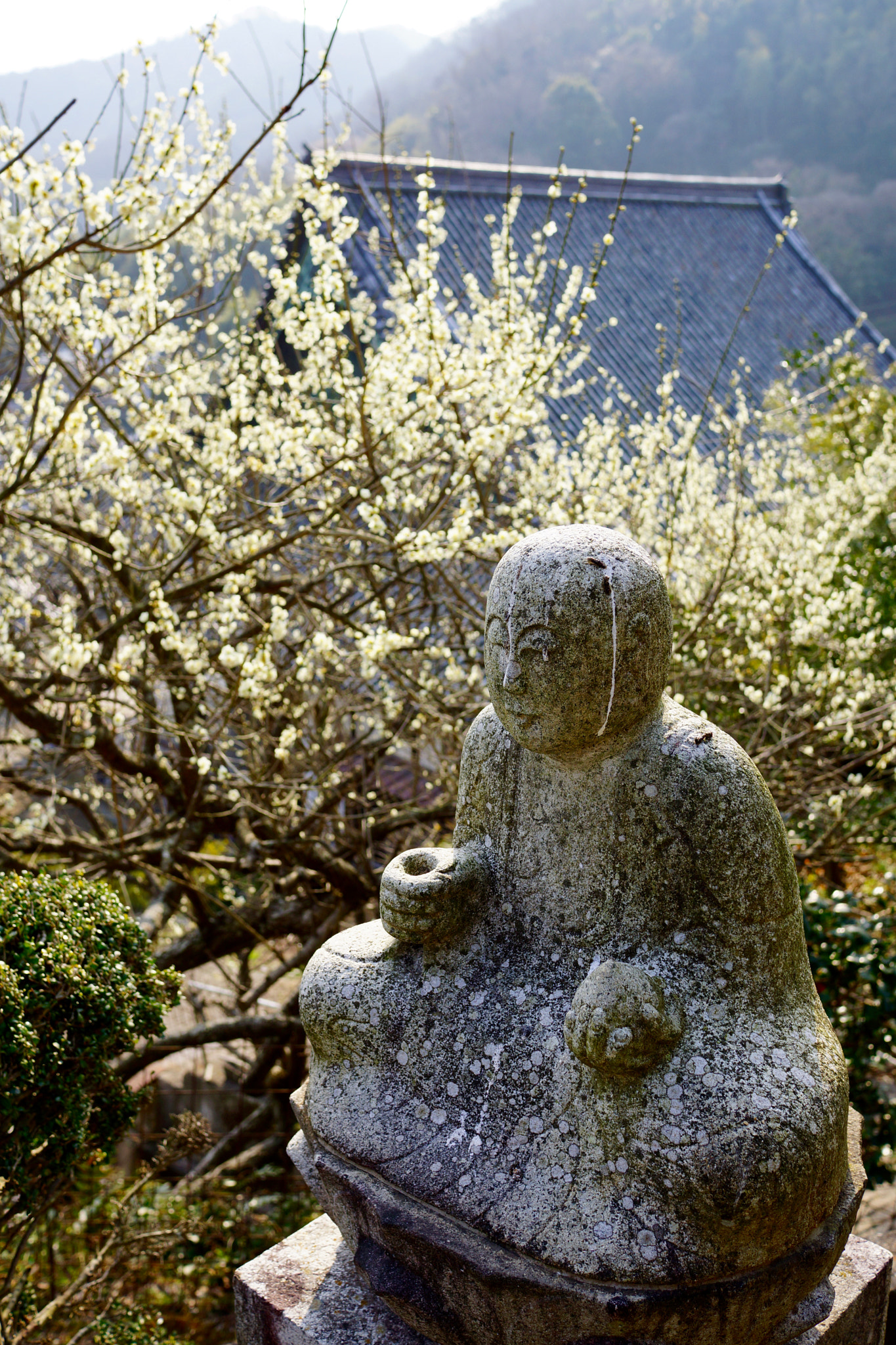 Sony Alpha NEX-7 + Sony Sonnar T* E 24mm F1.8 ZA sample photo. Myodoji temple statue photography