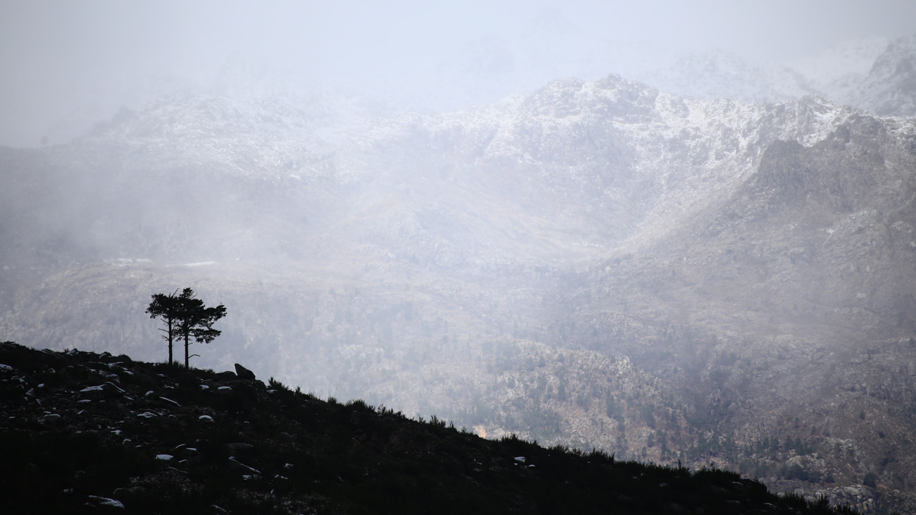 Canon EOS 6D + Canon EF 100-300mm f/5.6L sample photo. That place.. photography