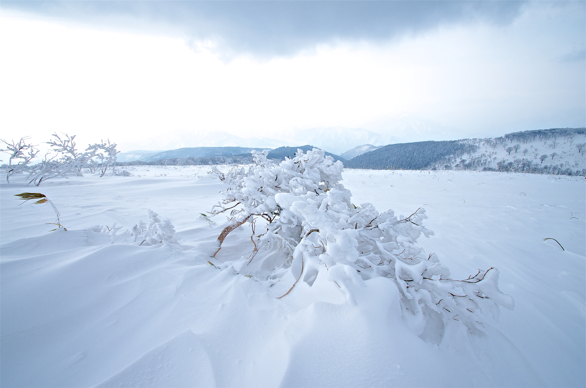 Pentax K-5 II sample photo. Mt. hyonosen 160227 photography