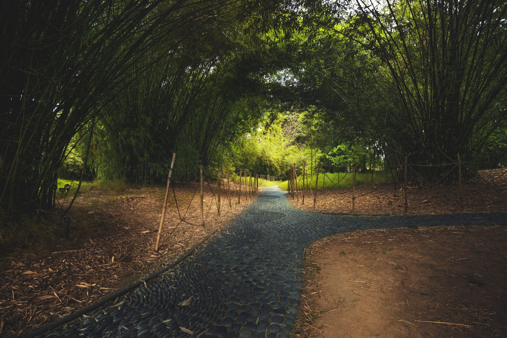 Minolta AF 28-85mm F3.5-4.5 New sample photo. Arch de bamboo photography