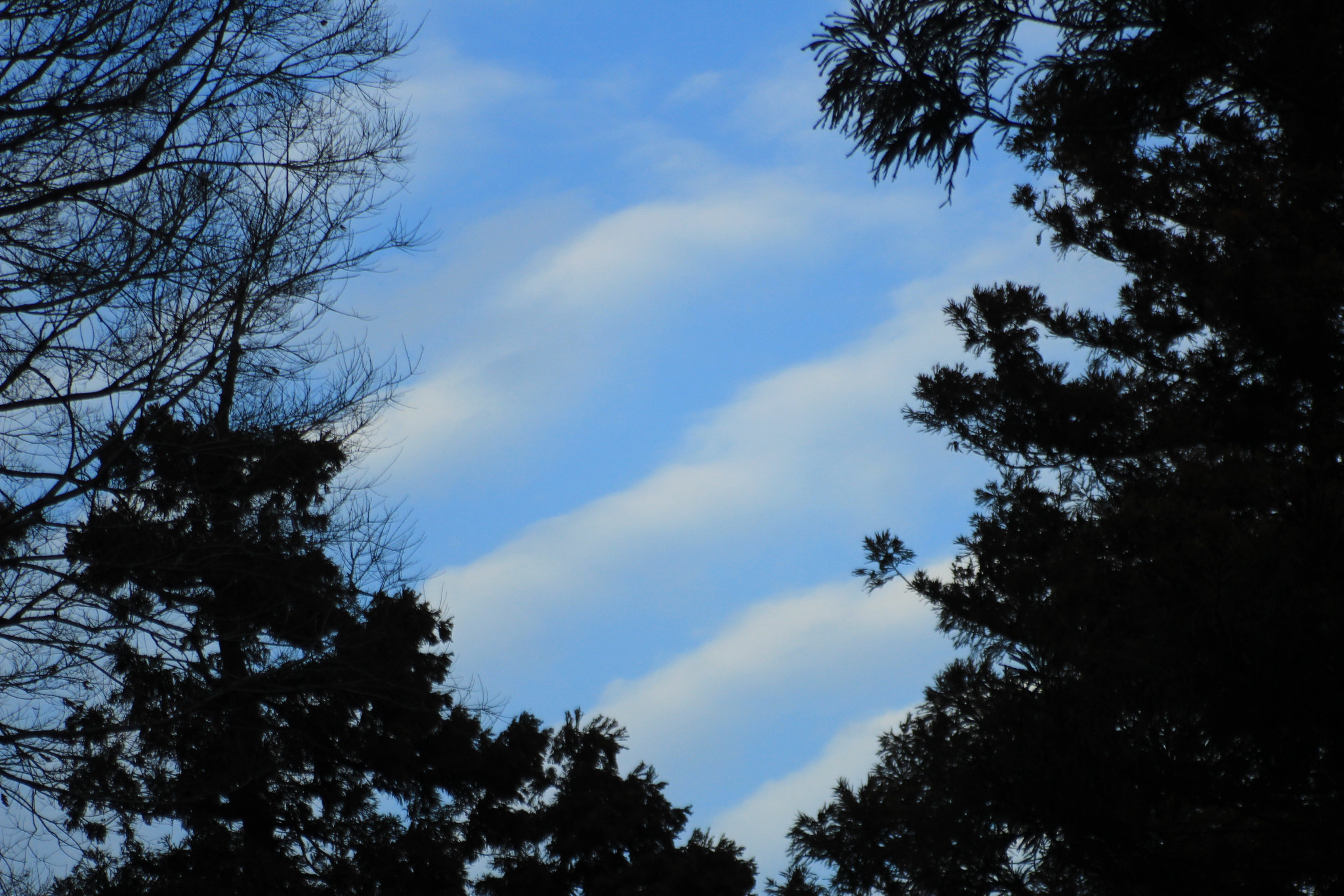 Tamron AF 28-200mm F3.8-5.6 XR Di Aspherical (IF) Macro sample photo. Blue sky ～hear the sound of the waves～ photography