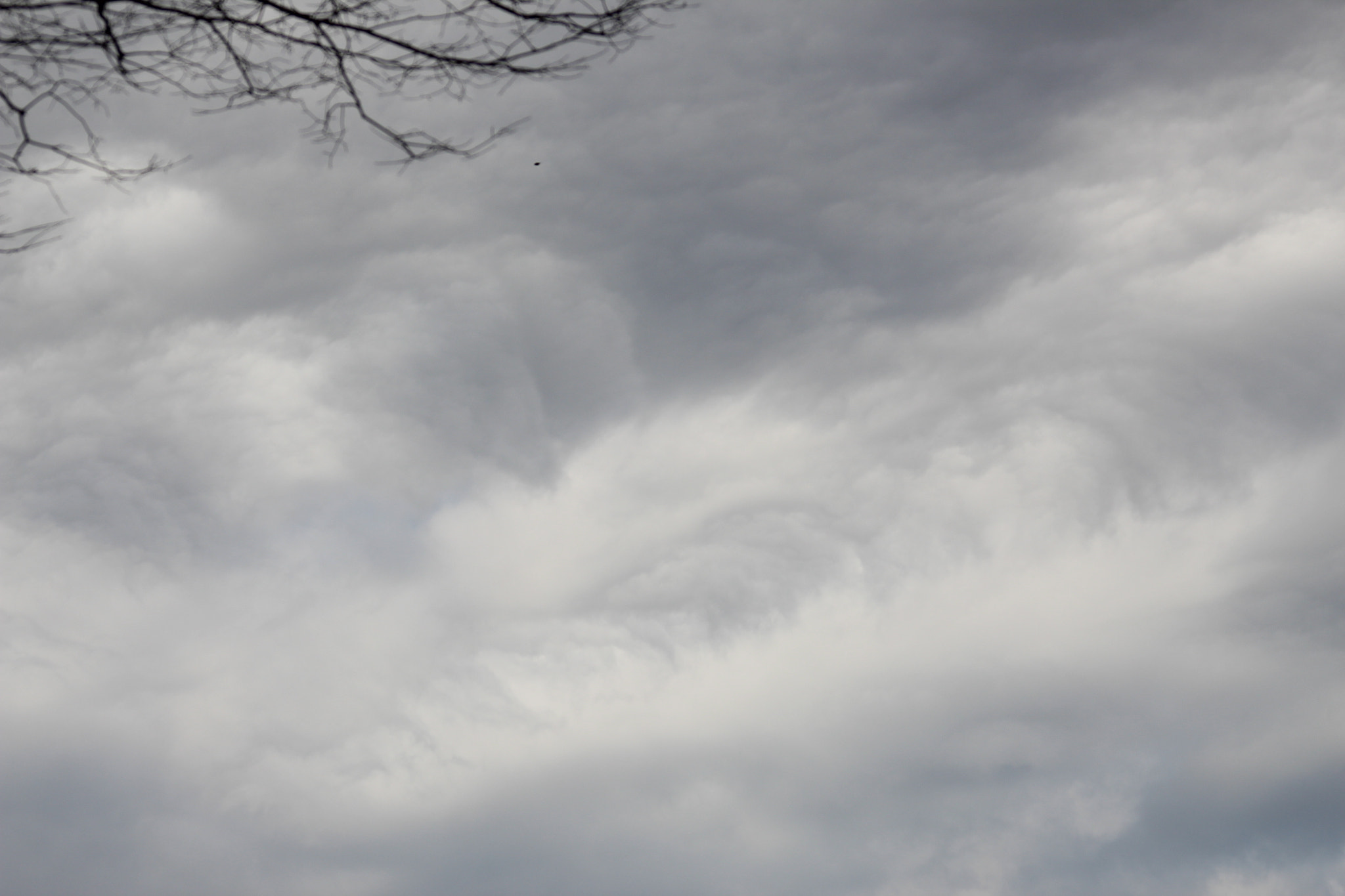 Canon EF 100-300mm F4.5-5.6 USM sample photo. Dragon appeared photography