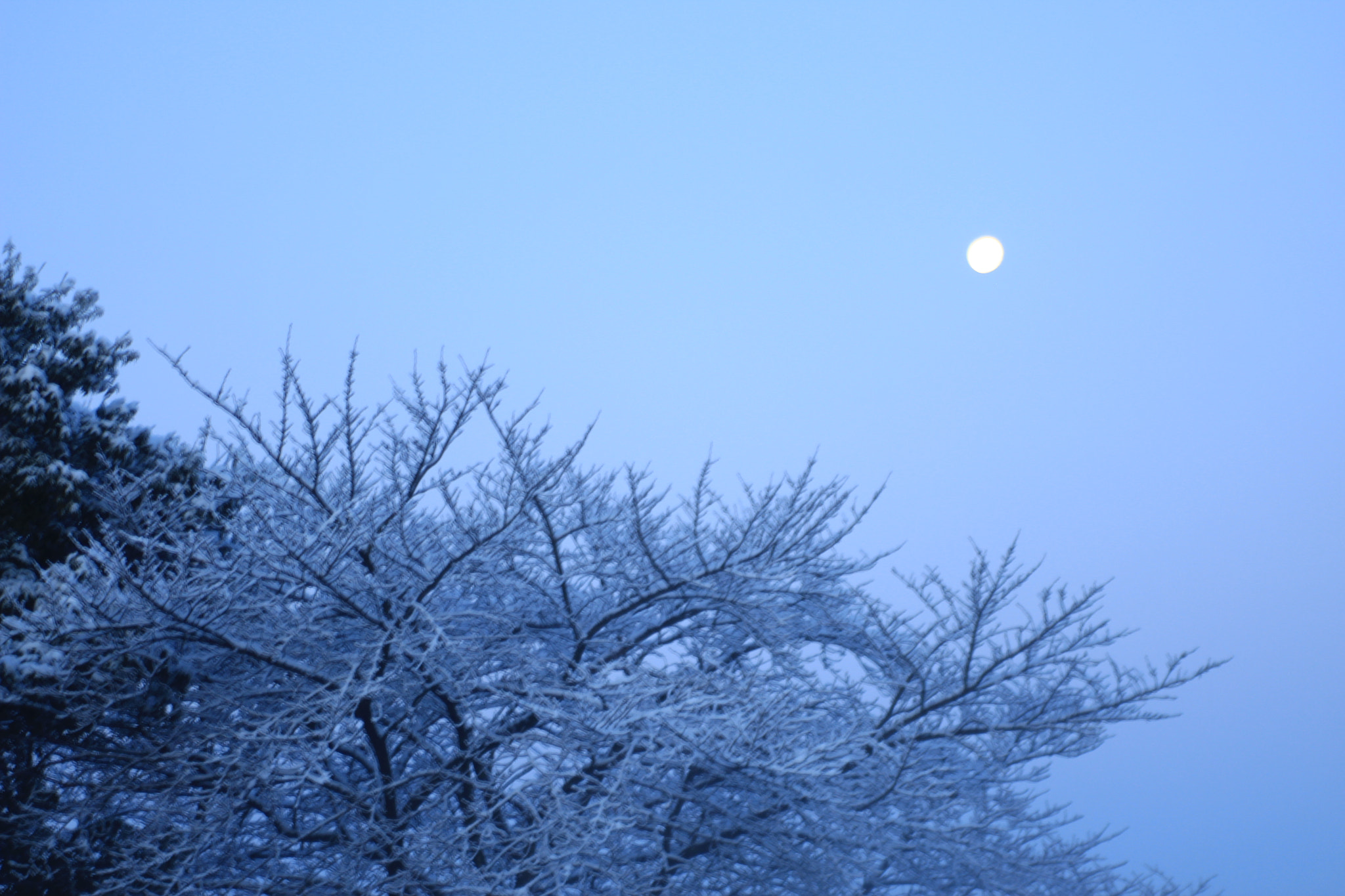 Canon EOS 600D (Rebel EOS T3i / EOS Kiss X5) + Tamron AF 28-200mm F3.8-5.6 XR Di Aspherical (IF) Macro sample photo. Moon and snow photography