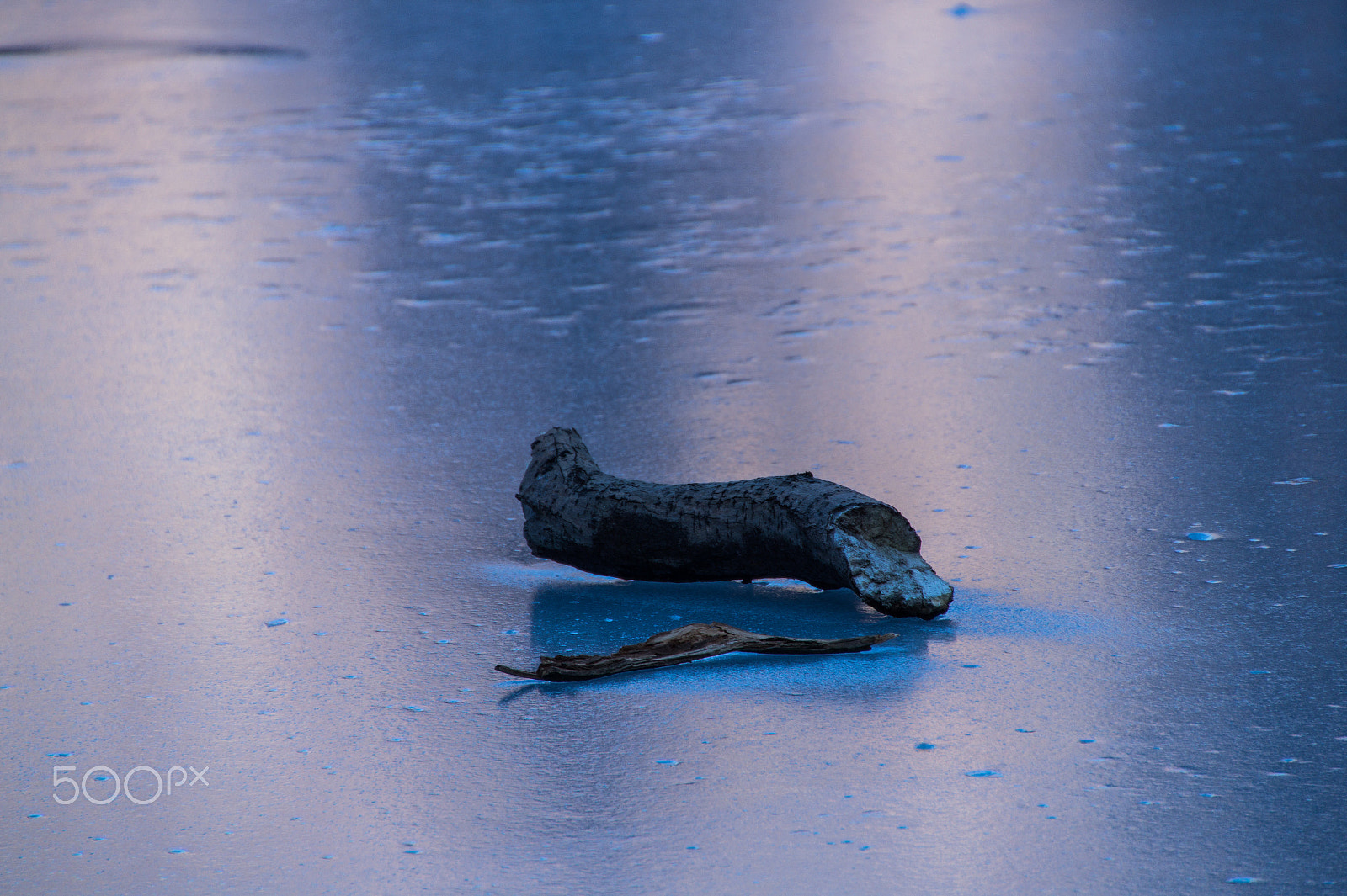Tamron 18-270mm F3.5-6.3 Di II PZD sample photo. Frozen lake with dead wood in the french alps photography