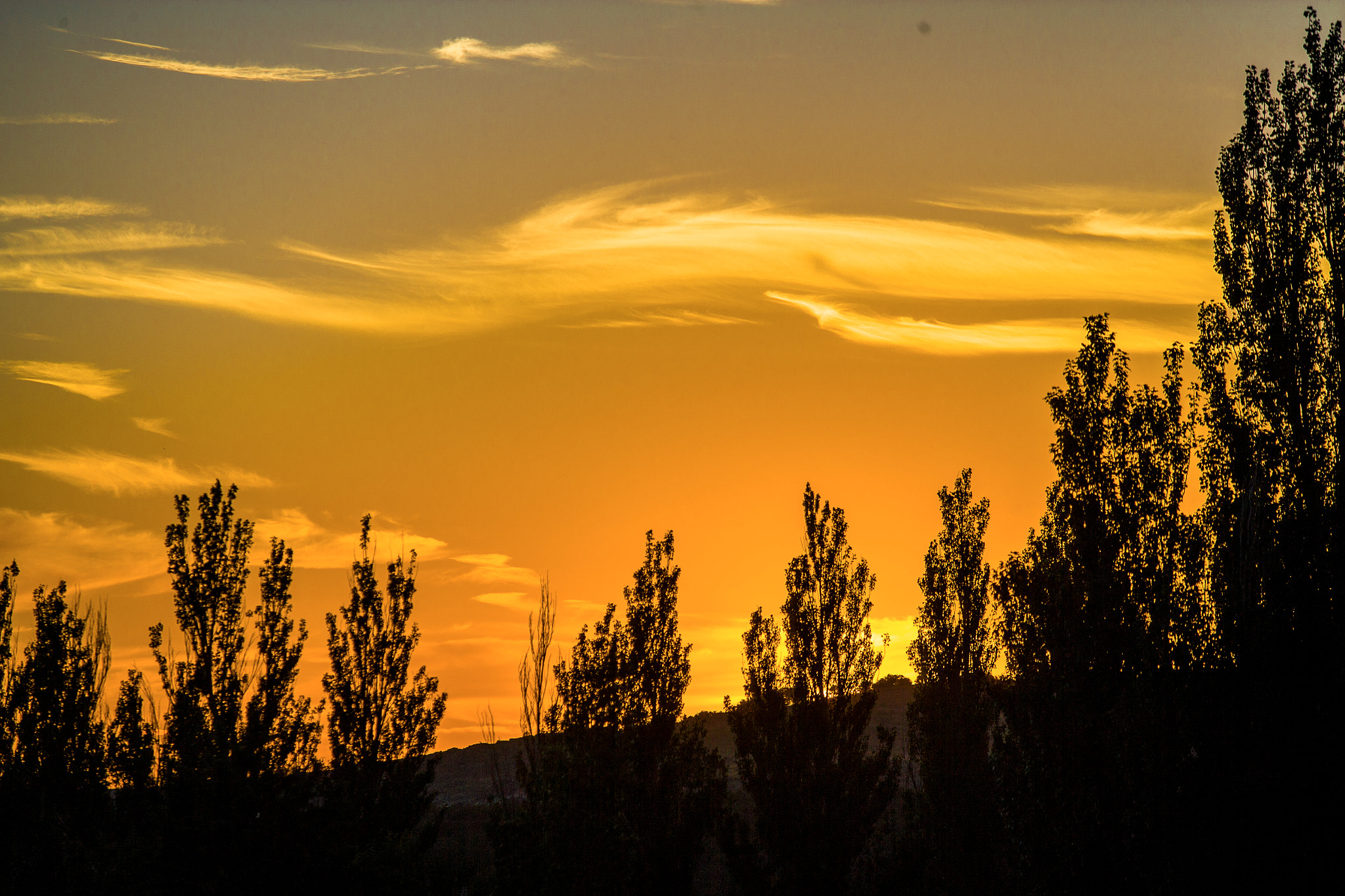 Canon EOS-1Ds Mark II sample photo. Sunset in spain photography