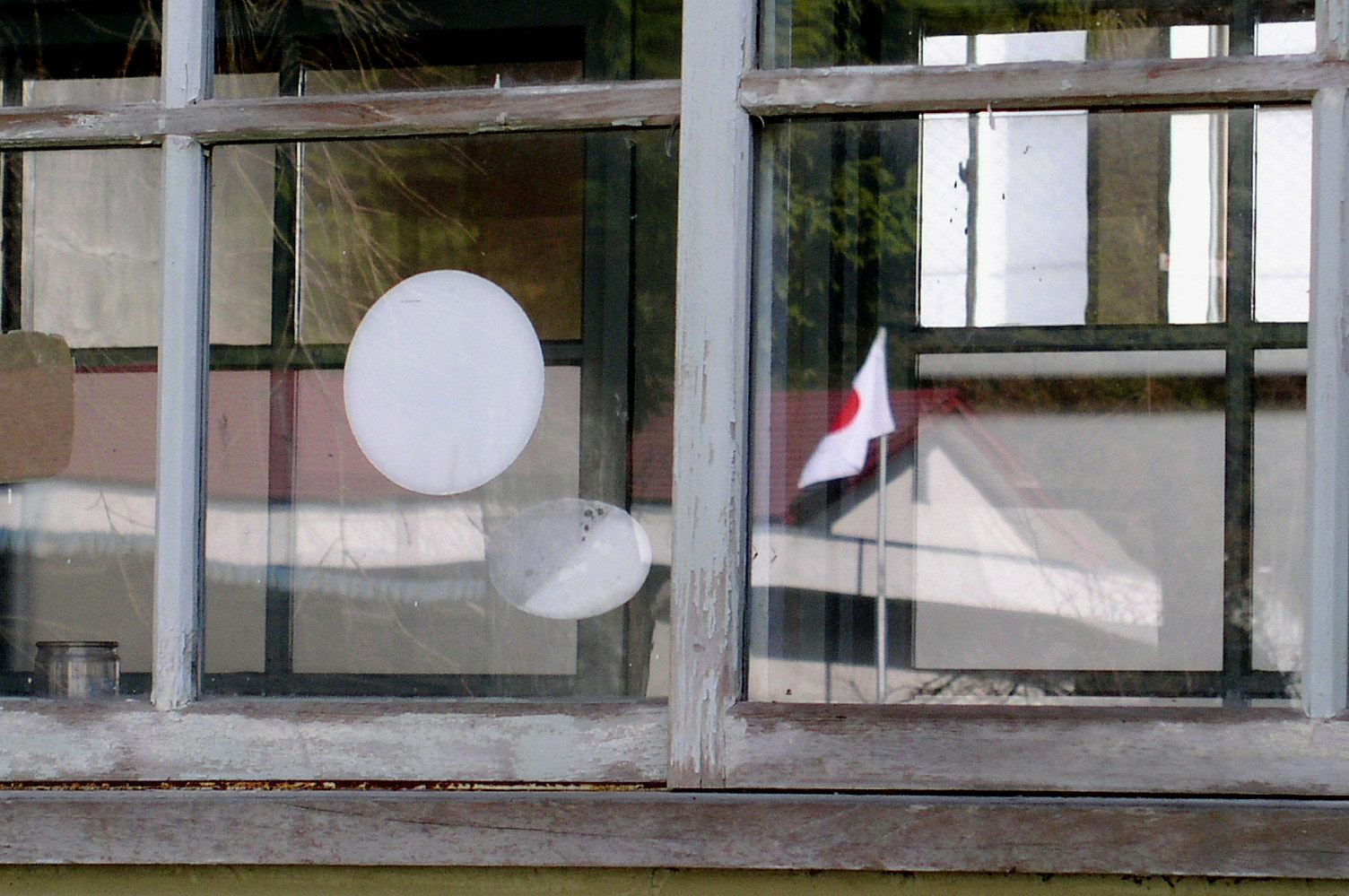 Olympus C4100Z,C4000Z sample photo. Flag photography