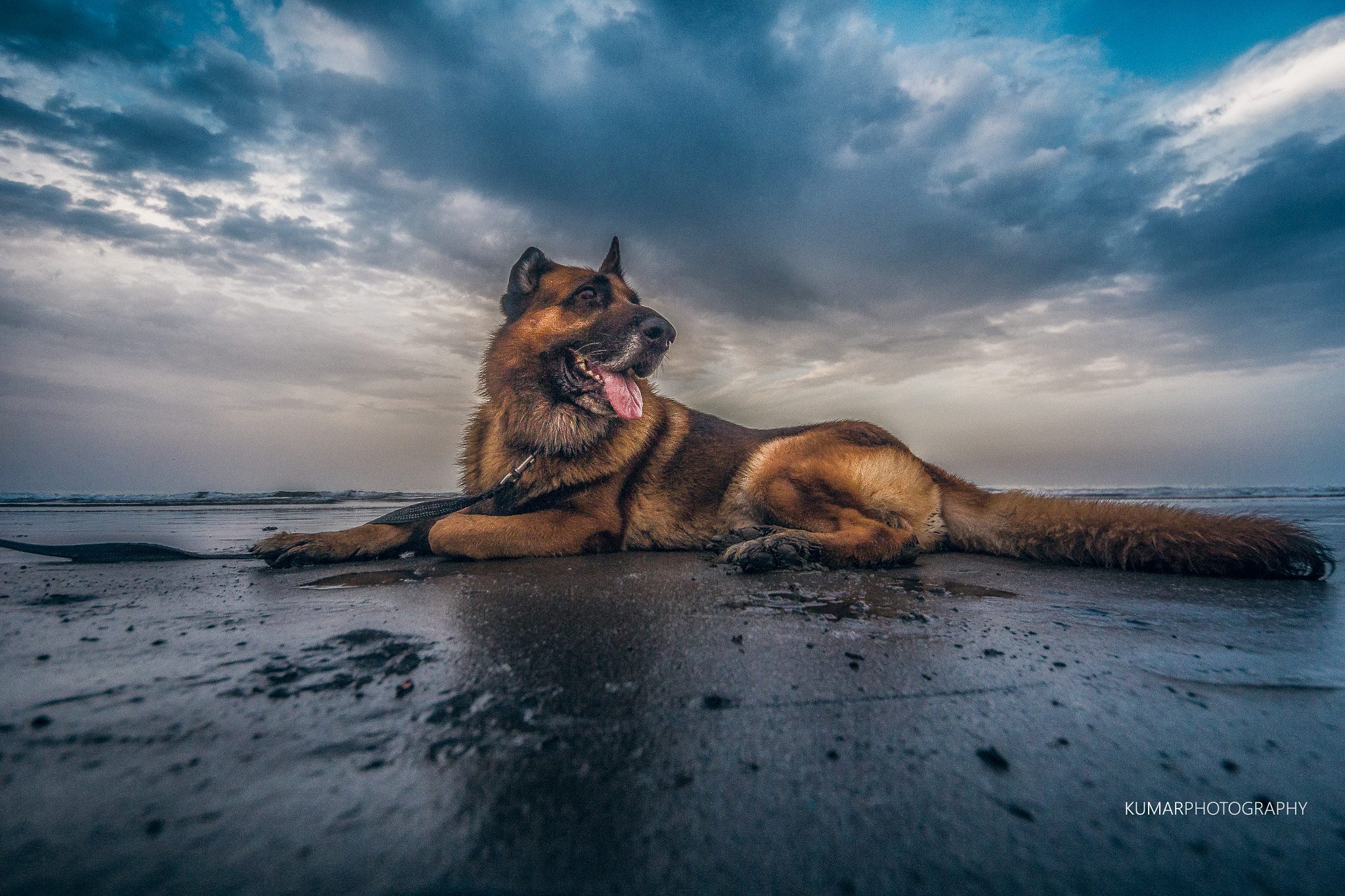 Sigma 8-16mm F4.5-5.6 DC HSM sample photo. The blue hour potrait photography