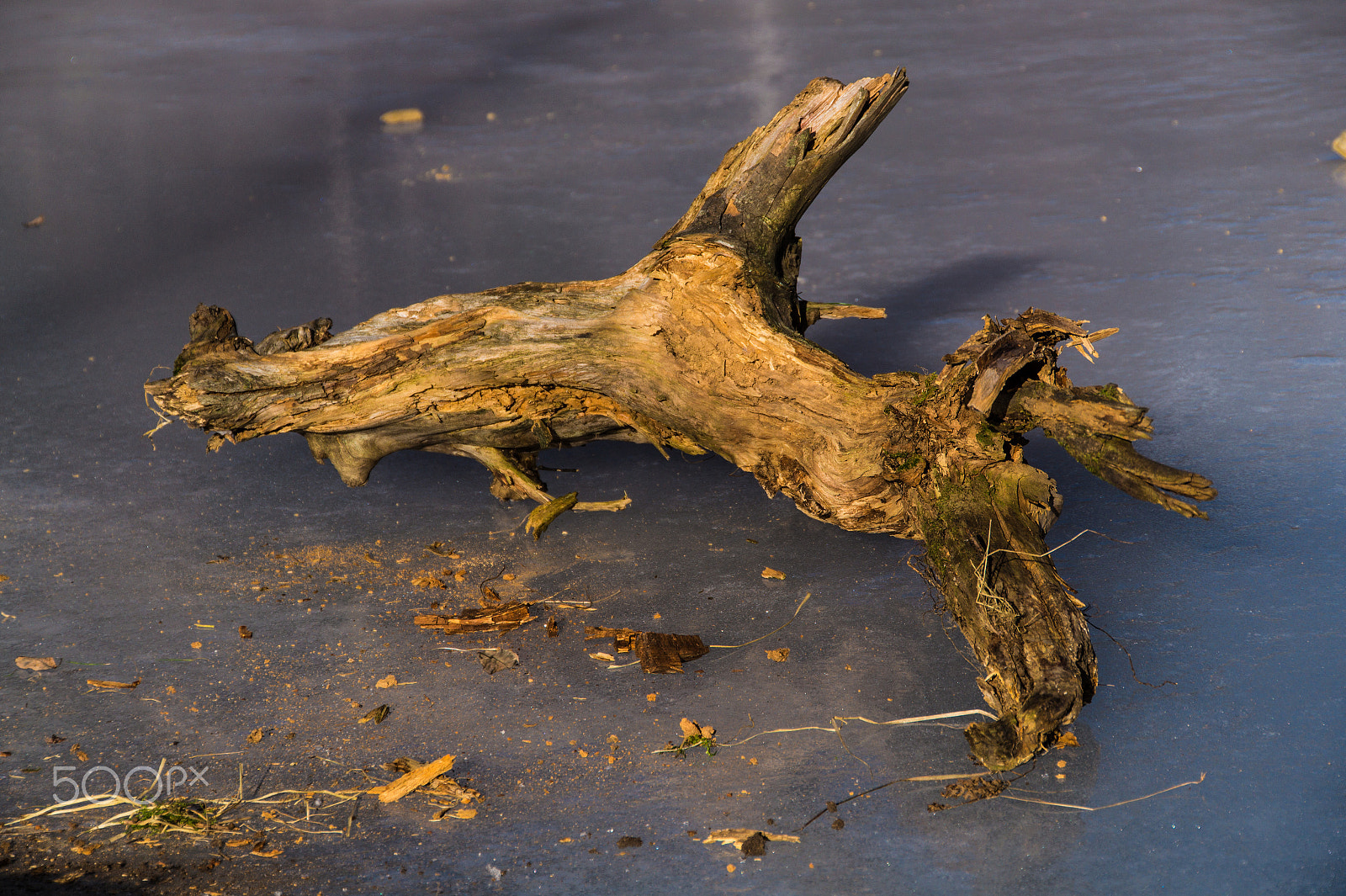 Tamron 18-270mm F3.5-6.3 Di II PZD sample photo. Frozen lake with dead wood in the french alps photography