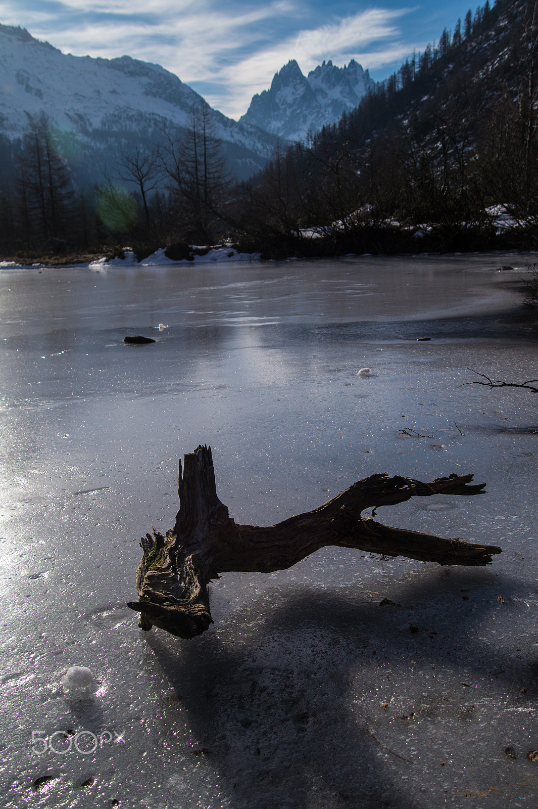 Tamron 18-270mm F3.5-6.3 Di II PZD sample photo. Frozen lake with dead wood in the french alps photography