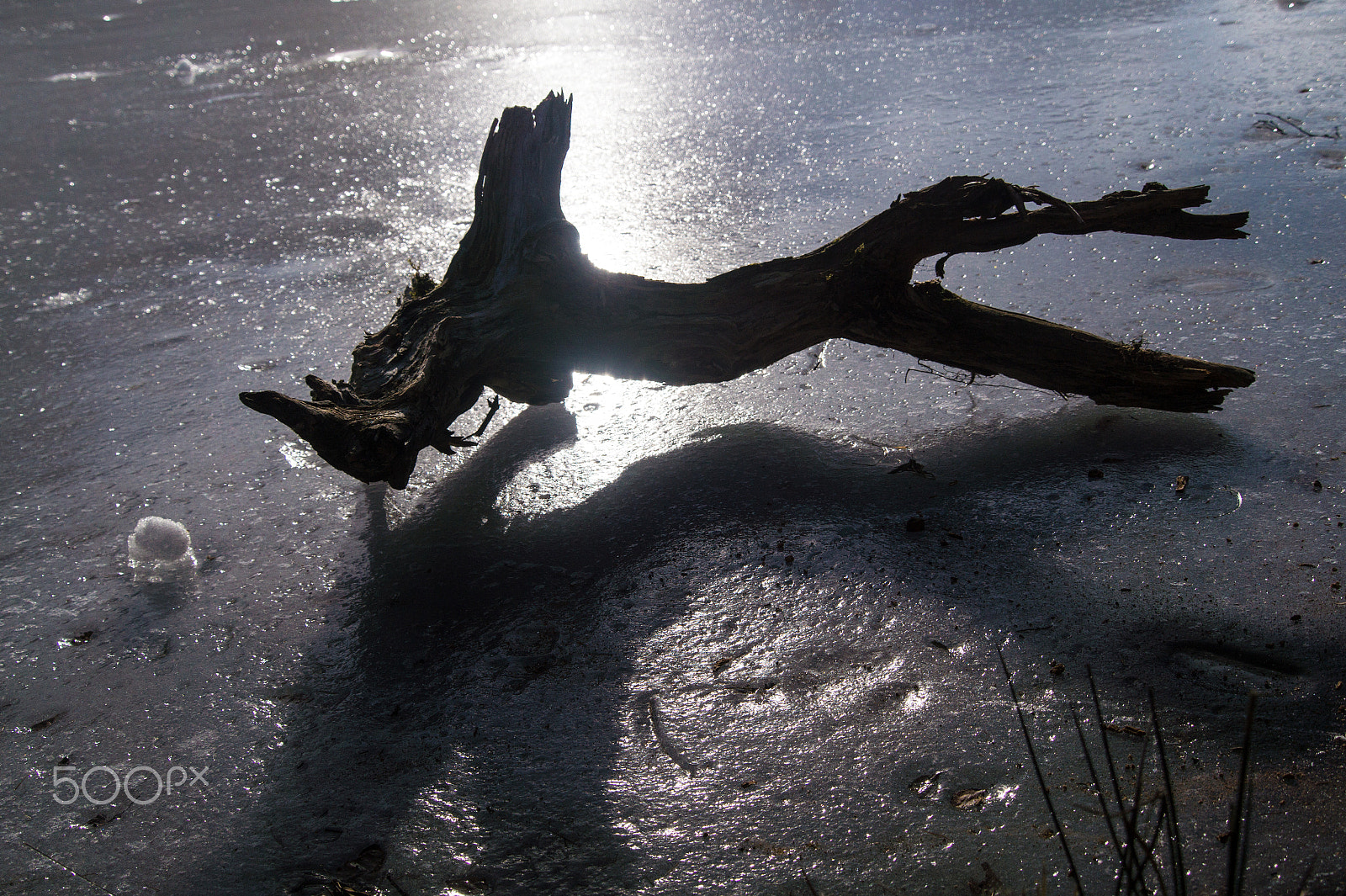 Tamron 18-270mm F3.5-6.3 Di II PZD sample photo. Frozen lake with dead wood in the french alps photography