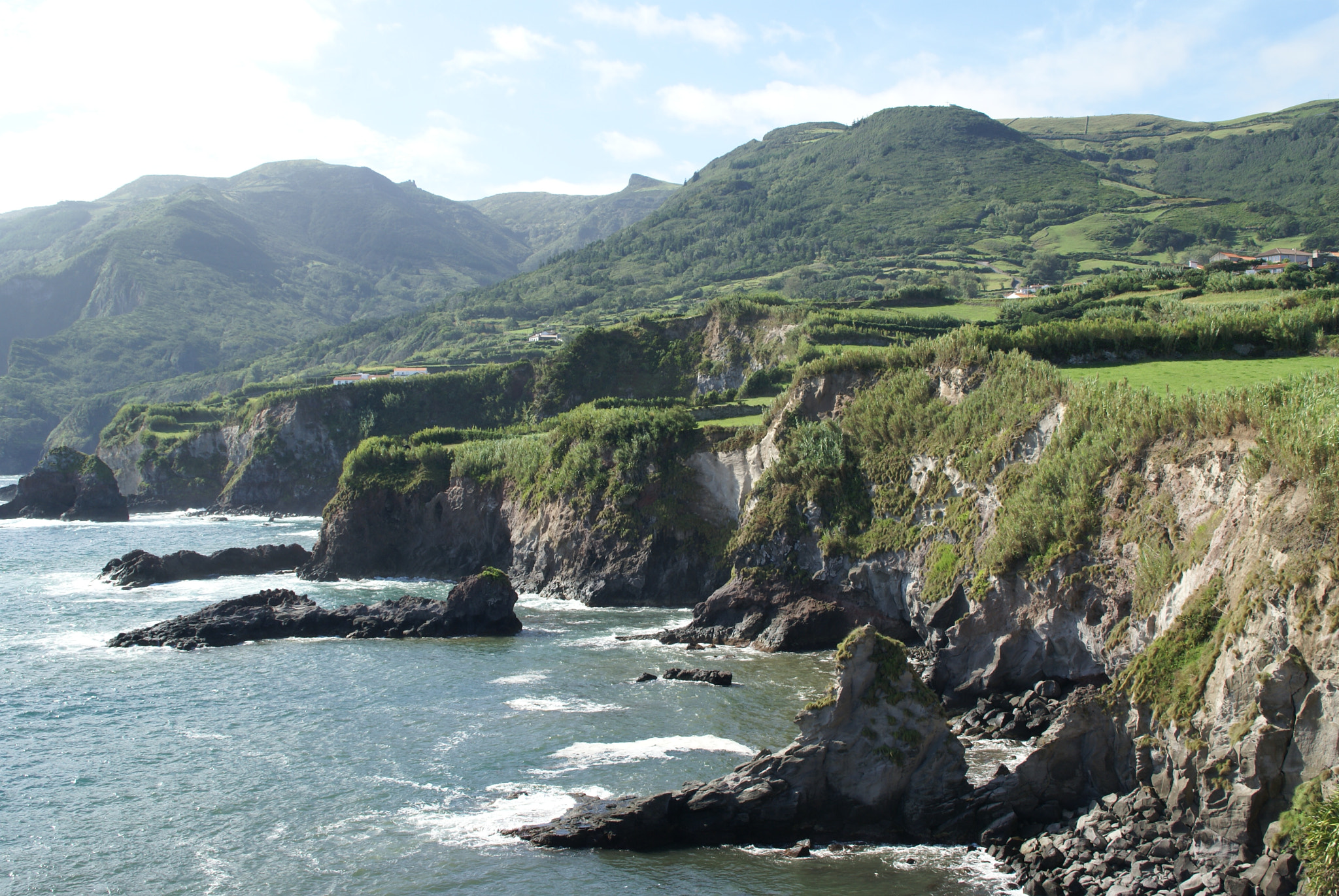 Sony Alpha DSLR-A100 sample photo. Sony dsc photography