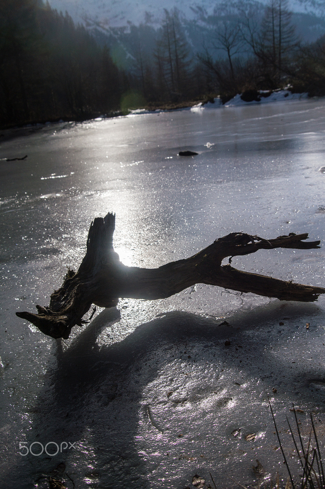 Tamron 18-270mm F3.5-6.3 Di II PZD sample photo. Frozen lake with dead wood in the french alps photography