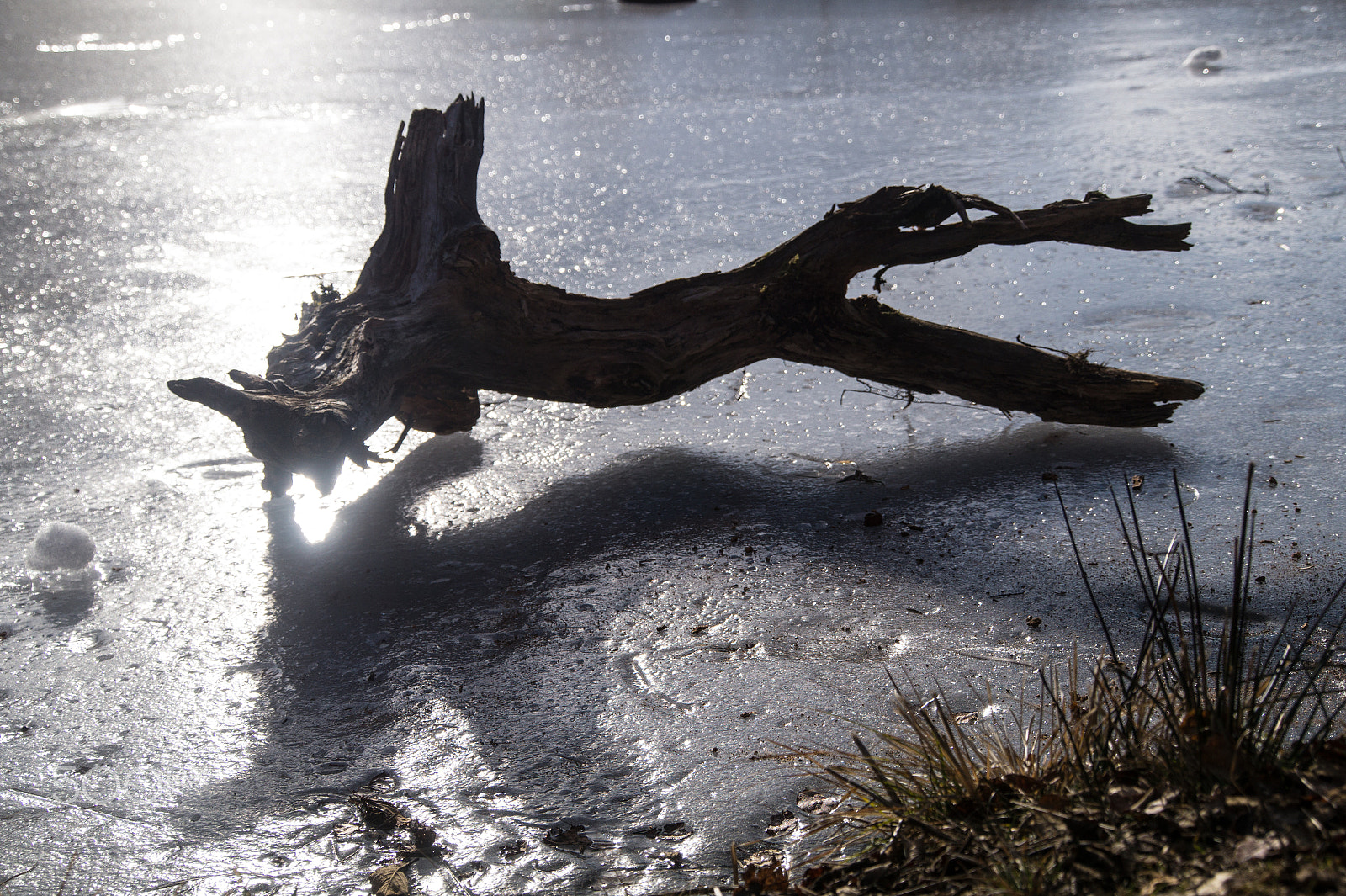 Tamron 18-270mm F3.5-6.3 Di II PZD sample photo. Frozen lake with dead wood in the french alps photography