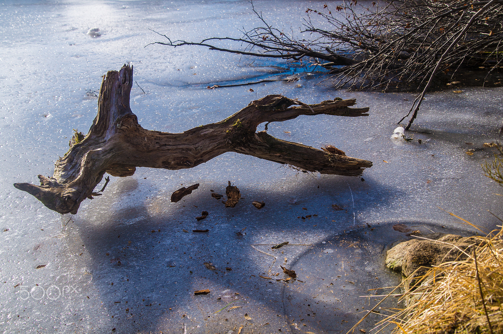 Sony SLT-A58 + Tamron 18-270mm F3.5-6.3 Di II PZD sample photo. Frozen lake with dead wood in the french alps photography