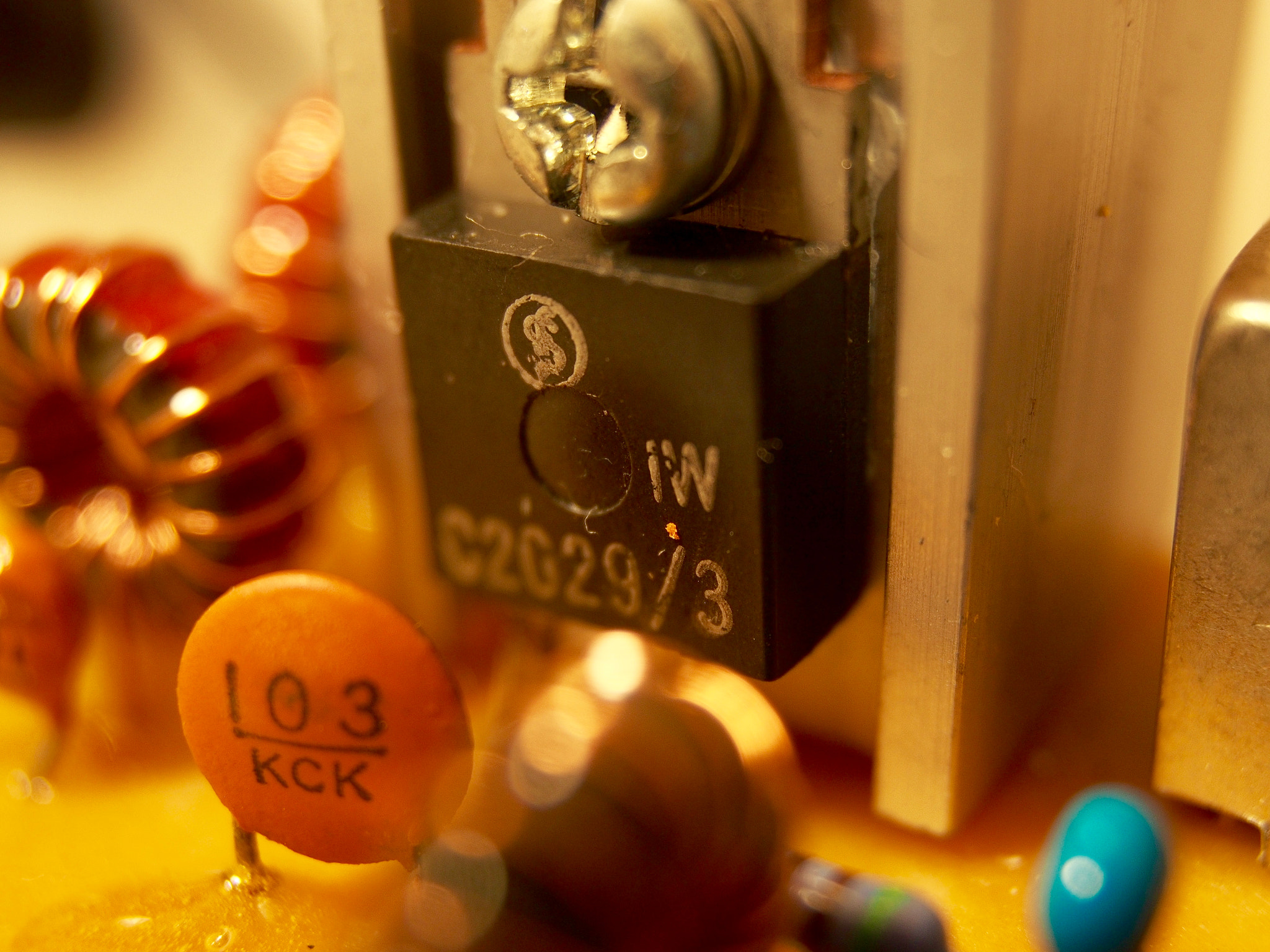 Olympus PEN E-PL6 sample photo. My cir photography