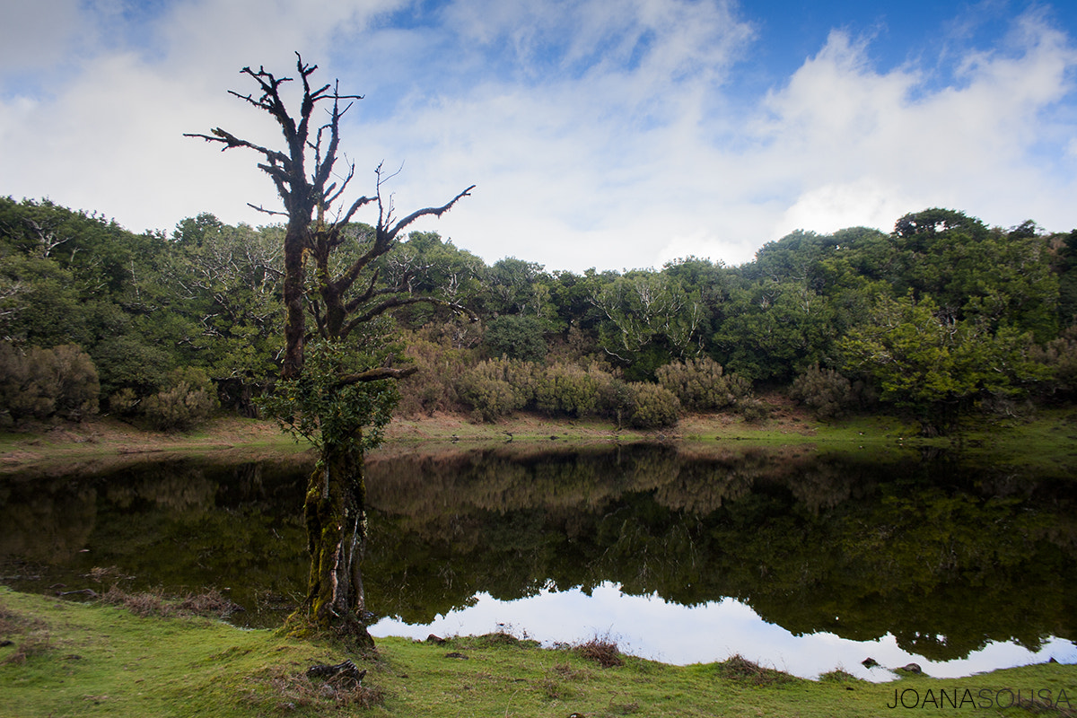 Canon EF-S 18-55mm F3.5-5.6 sample photo. Landscape photography