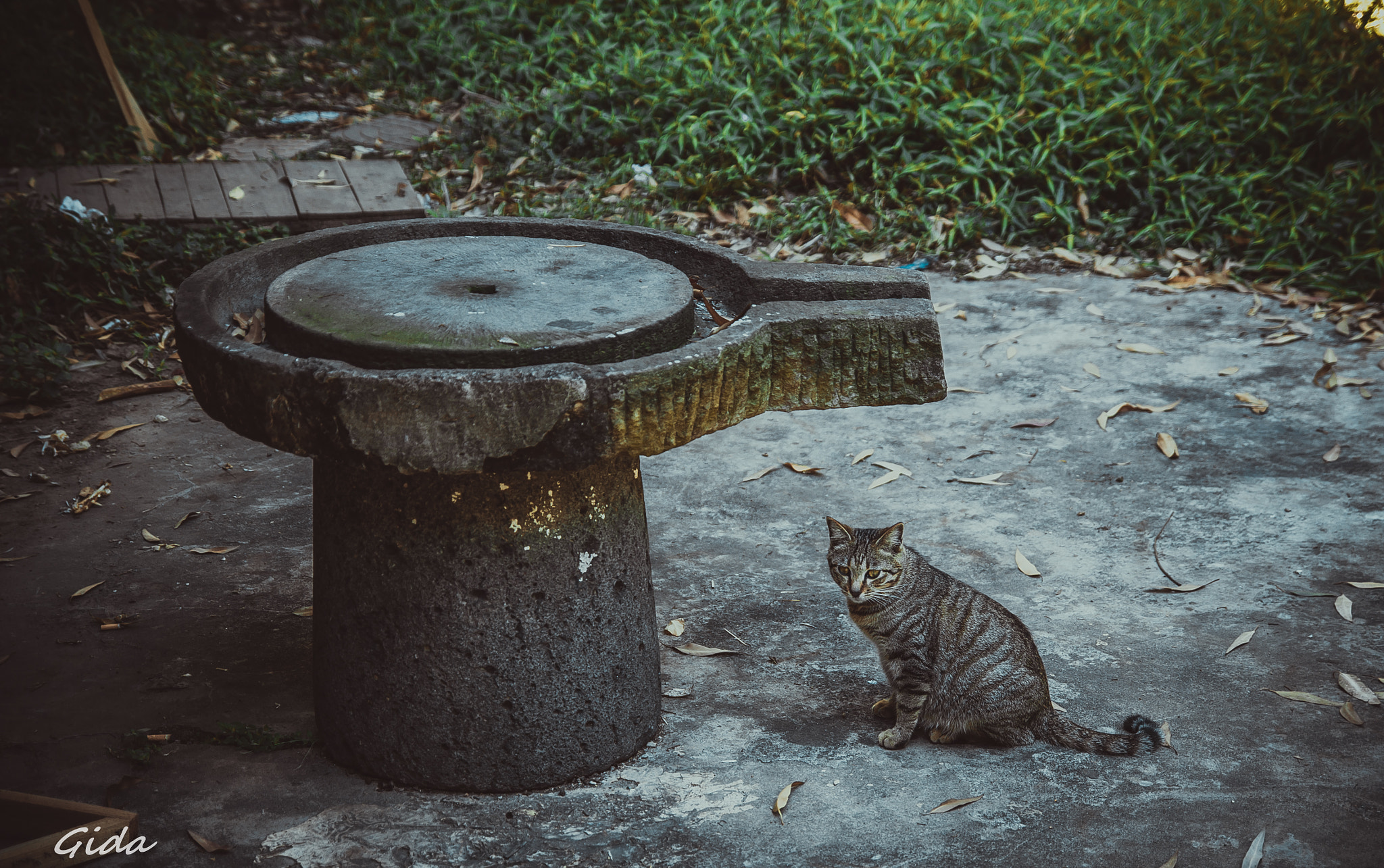 Pentax K-5 II sample photo