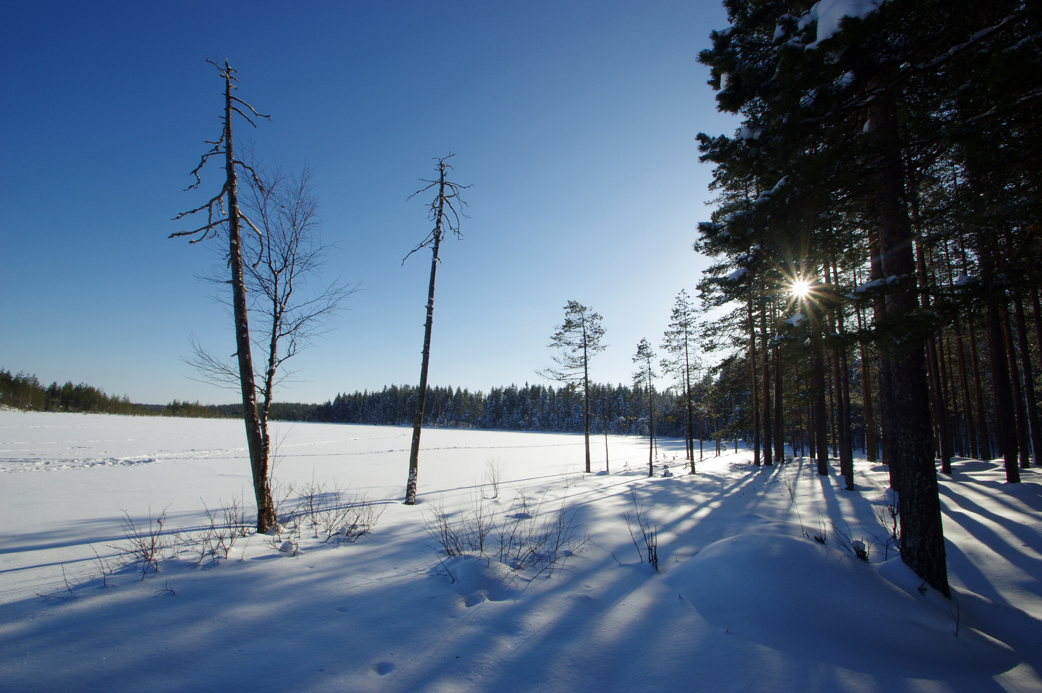 Pentax K-3 sample photo. Heikin lampi photography
