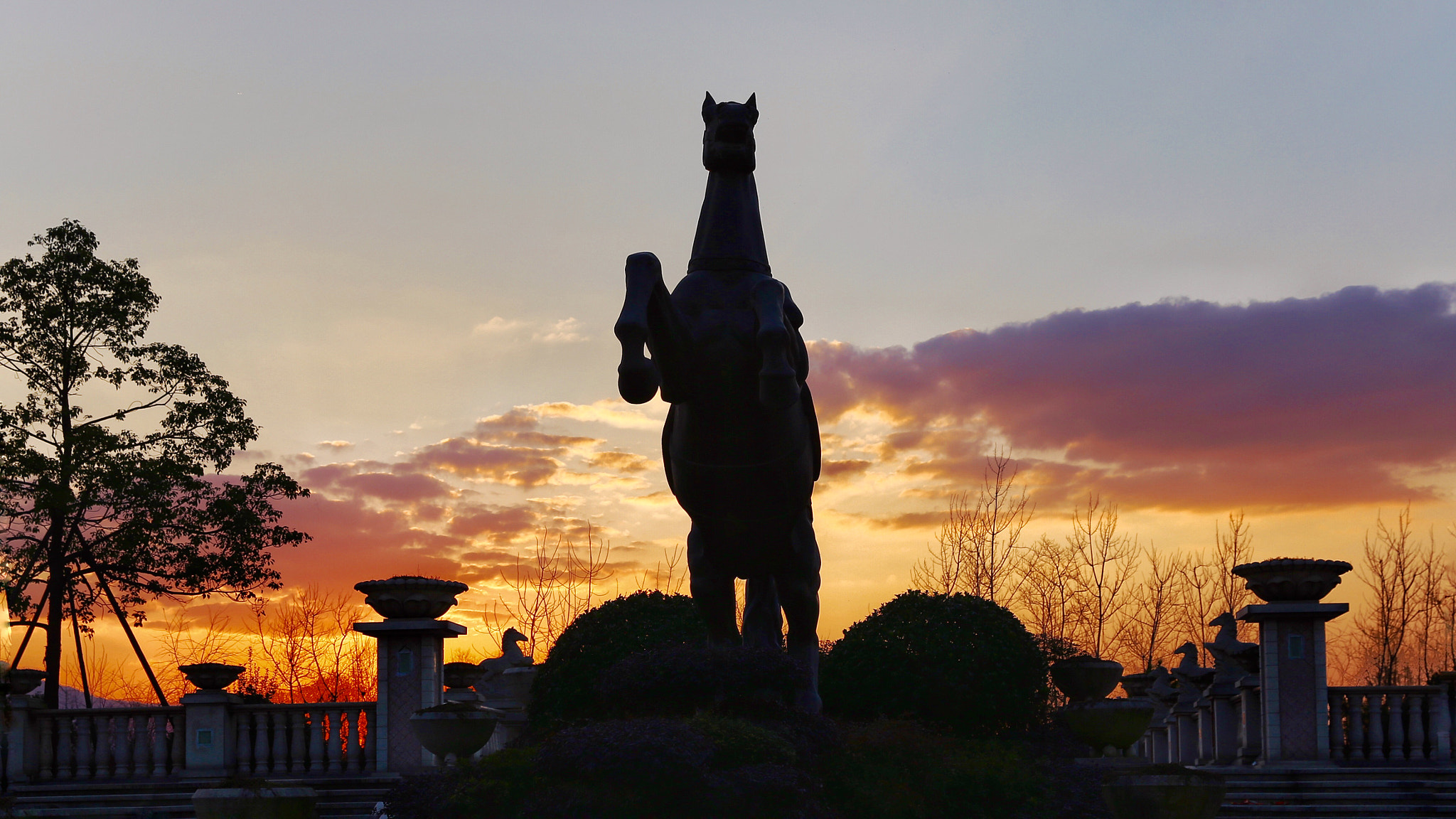 Canon EF 24-70mm F2.8L II USM sample photo
