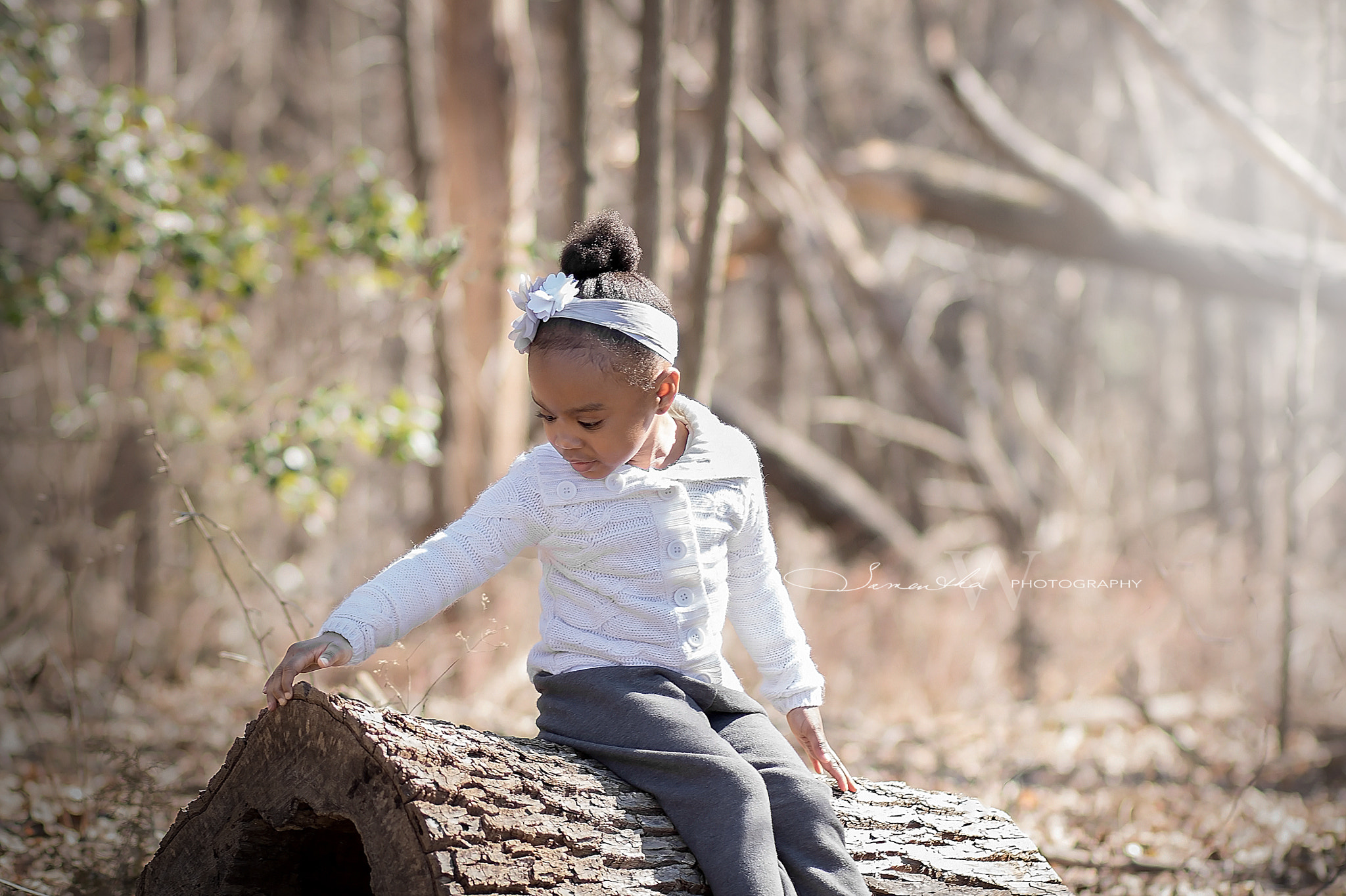 Canon EOS 750D (EOS Rebel T6i / EOS Kiss X8i) sample photo. In the woods photography