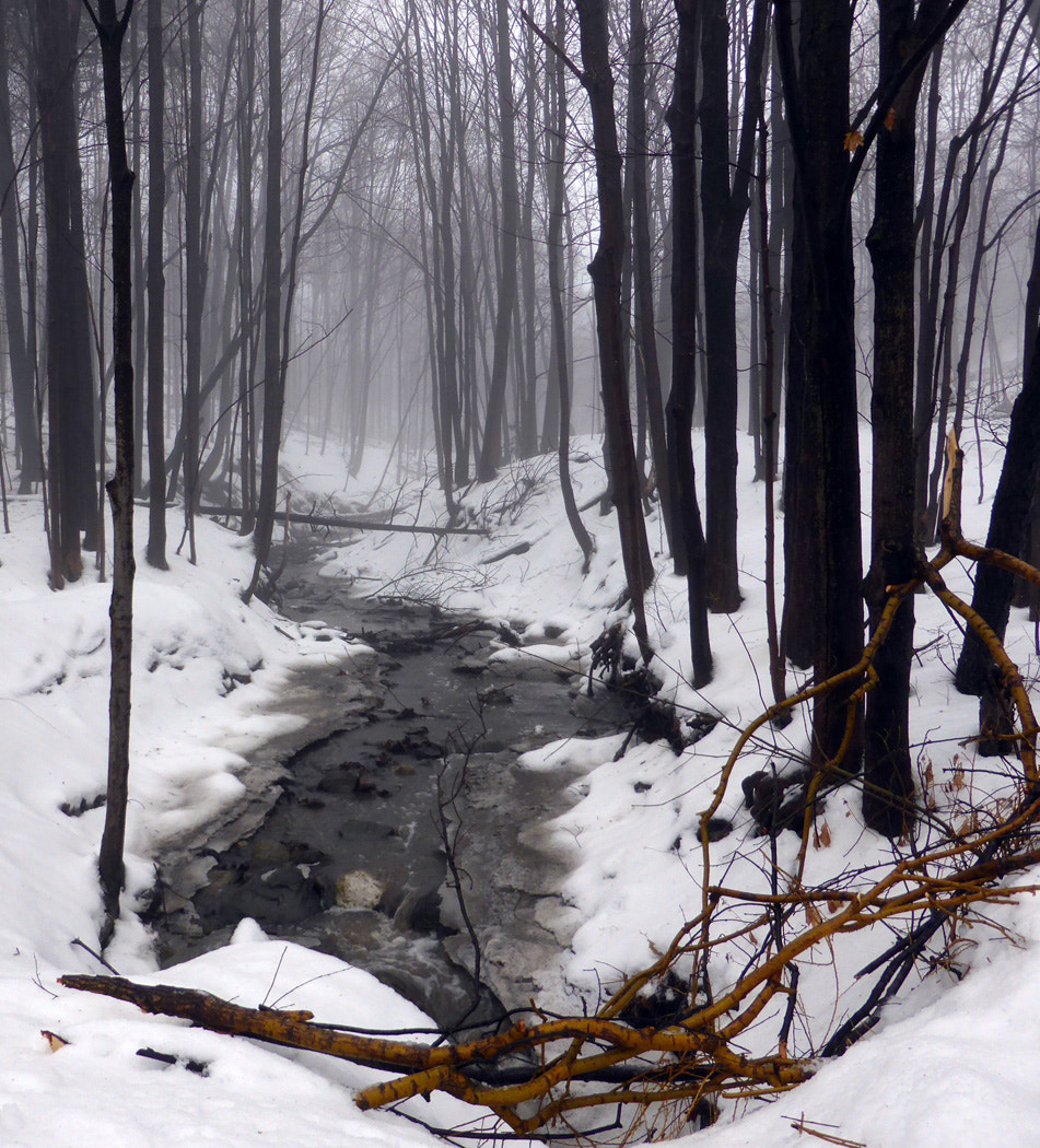 Panasonic DMC-ZS30 sample photo. Creek in the valley photography