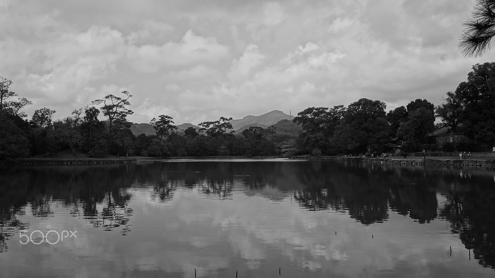Sony Alpha NEX-3N + Sigma 19mm F2.8 EX DN sample photo. Moody lake outside imperial hue photography
