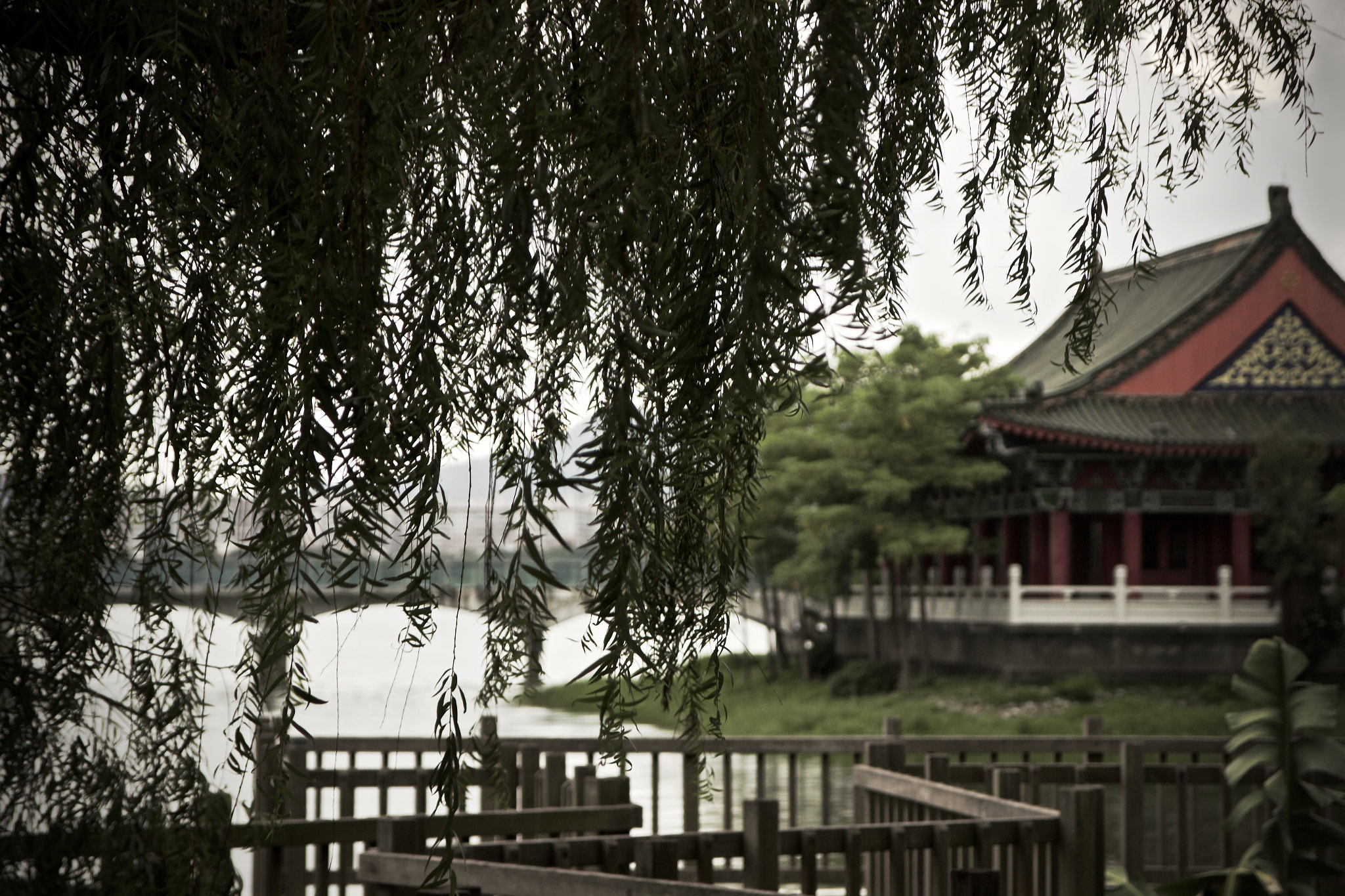 Sigma 17-70mm F2.8-4 DC Macro OS HSM sample photo. 蓮潭一瞥 photography
