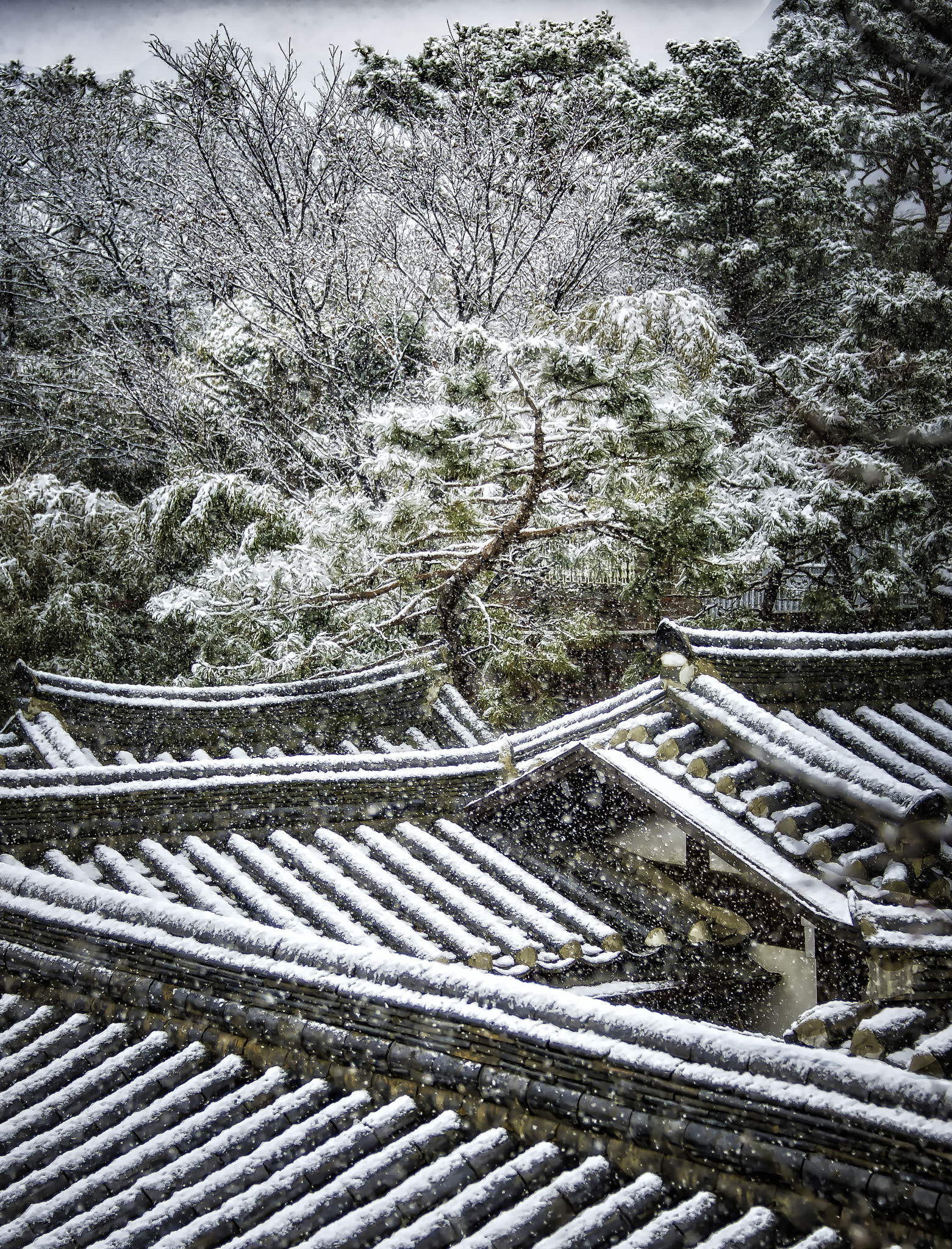 Nikon D4 sample photo. Seoul snowy roofs photography