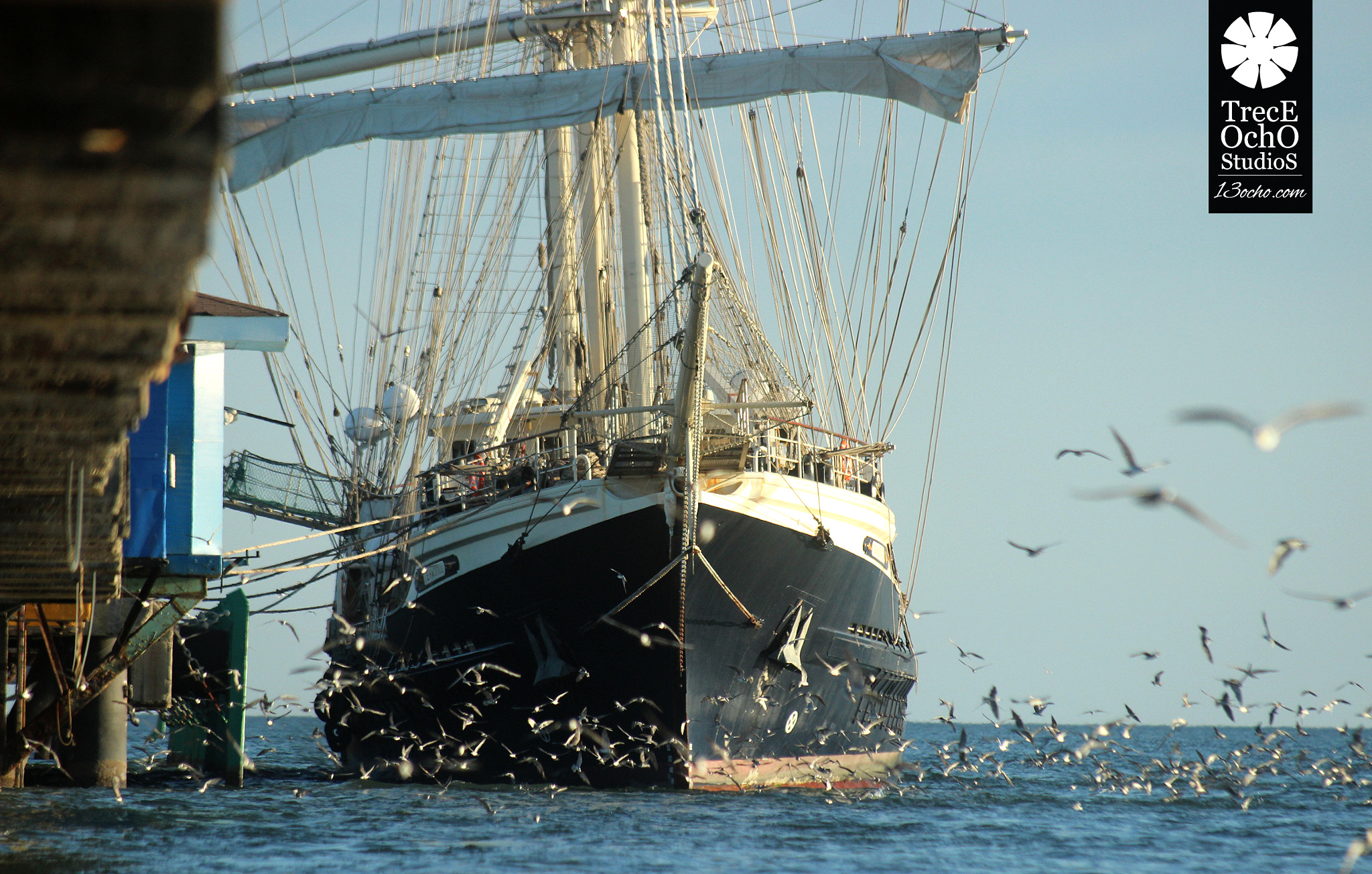 Canon EF 35-350mm F3.5-5.6L USM sample photo. La pesca photography