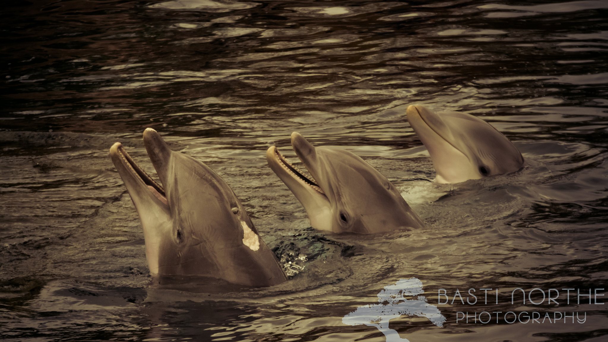 Samsung NX 18-200mm F3.5-6.3 ED OIS sample photo