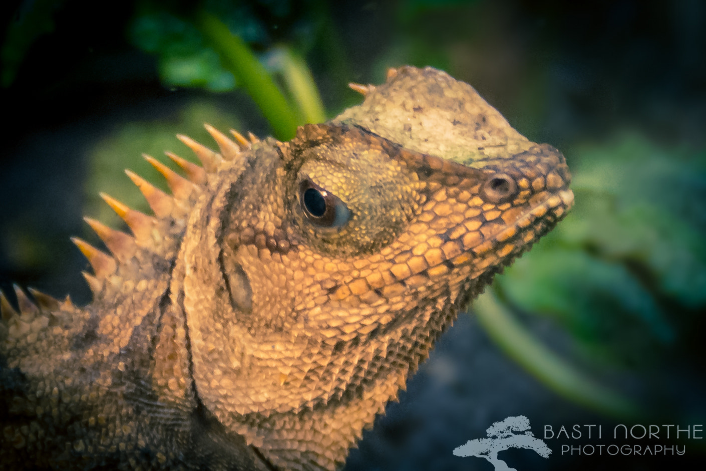 Samsung NX 18-200mm F3.5-6.3 ED OIS sample photo