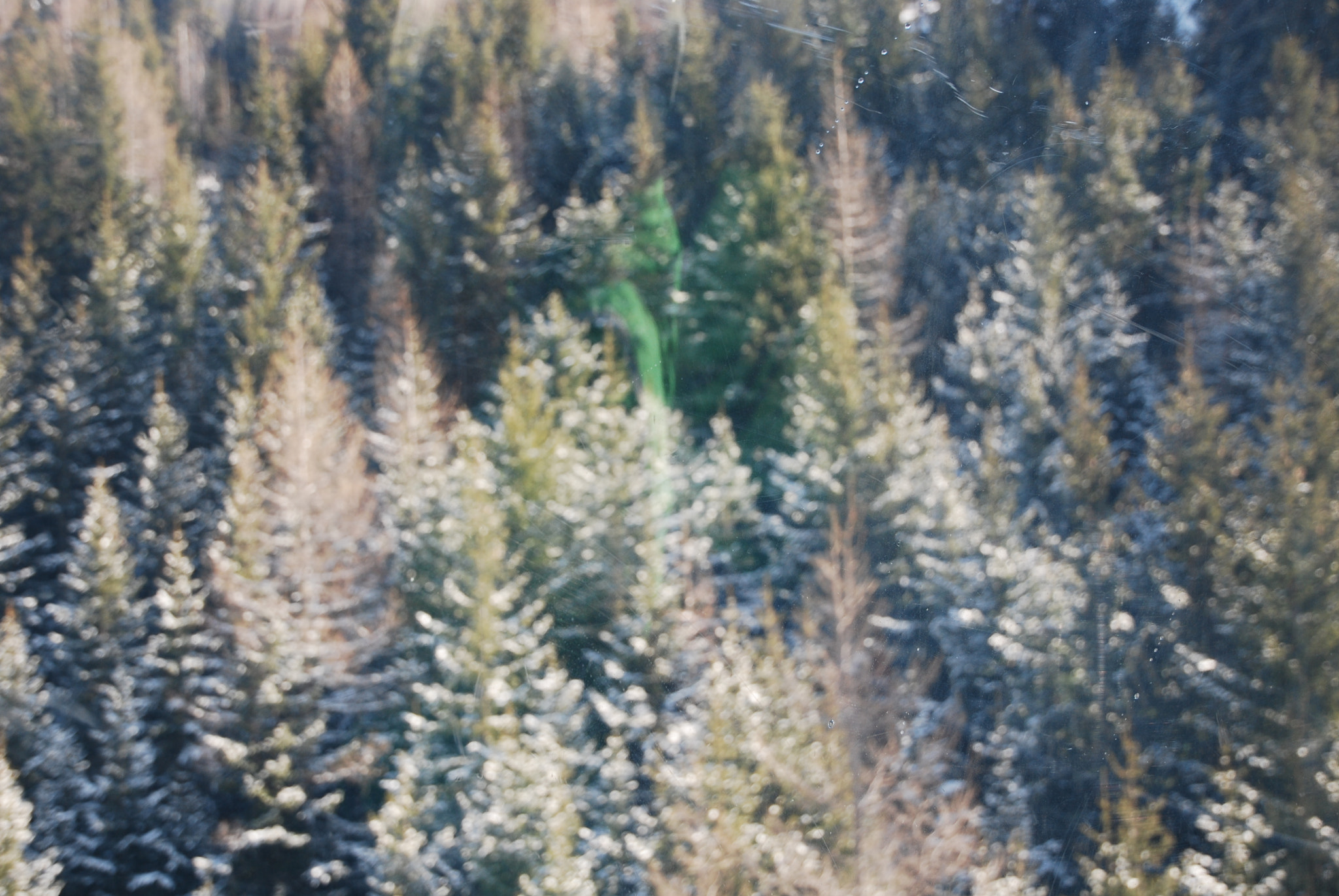 Nikon D60 sample photo. Austria 2015 photography