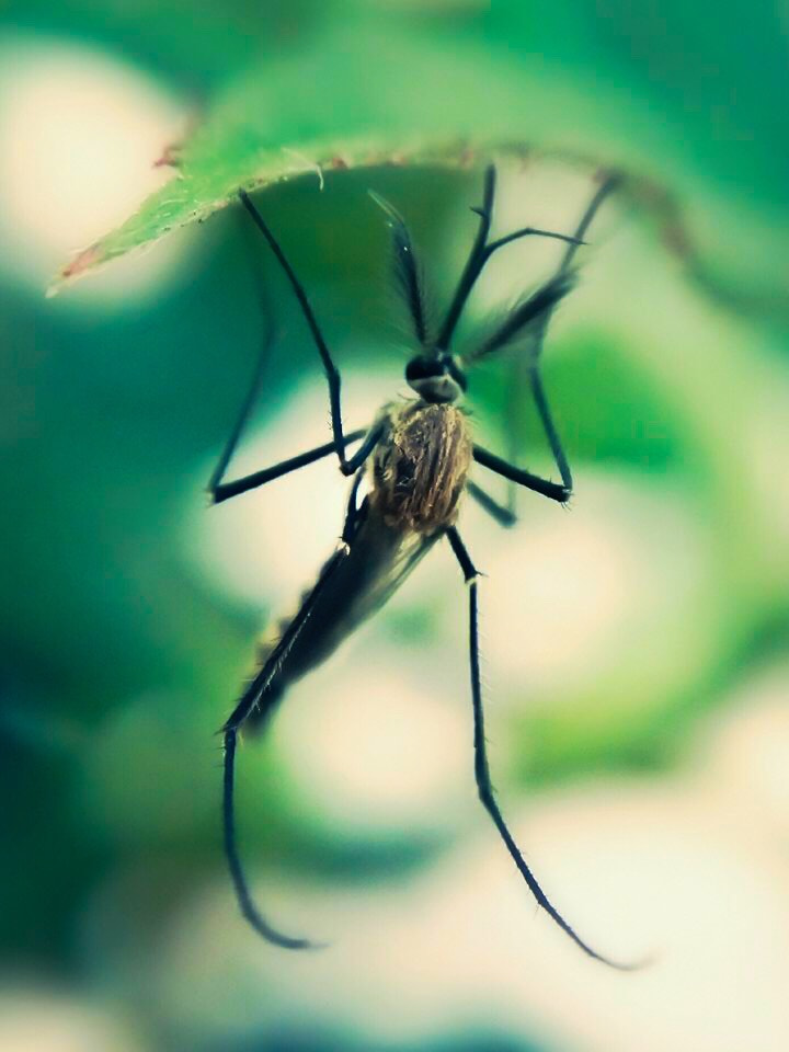 v2?sig=ca76f6b06d527c7054509526105e5438ca4f34437264538bd9e8e8131ef1be3b