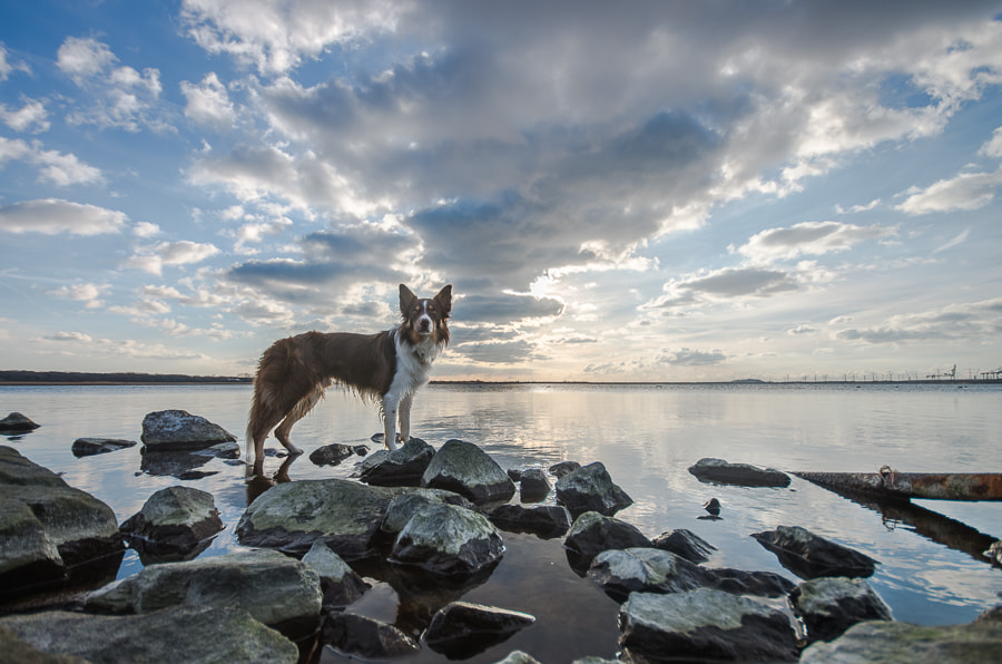 Sigma AF 10-20mm F4-5.6 EX DC sample photo. On the rocks photography