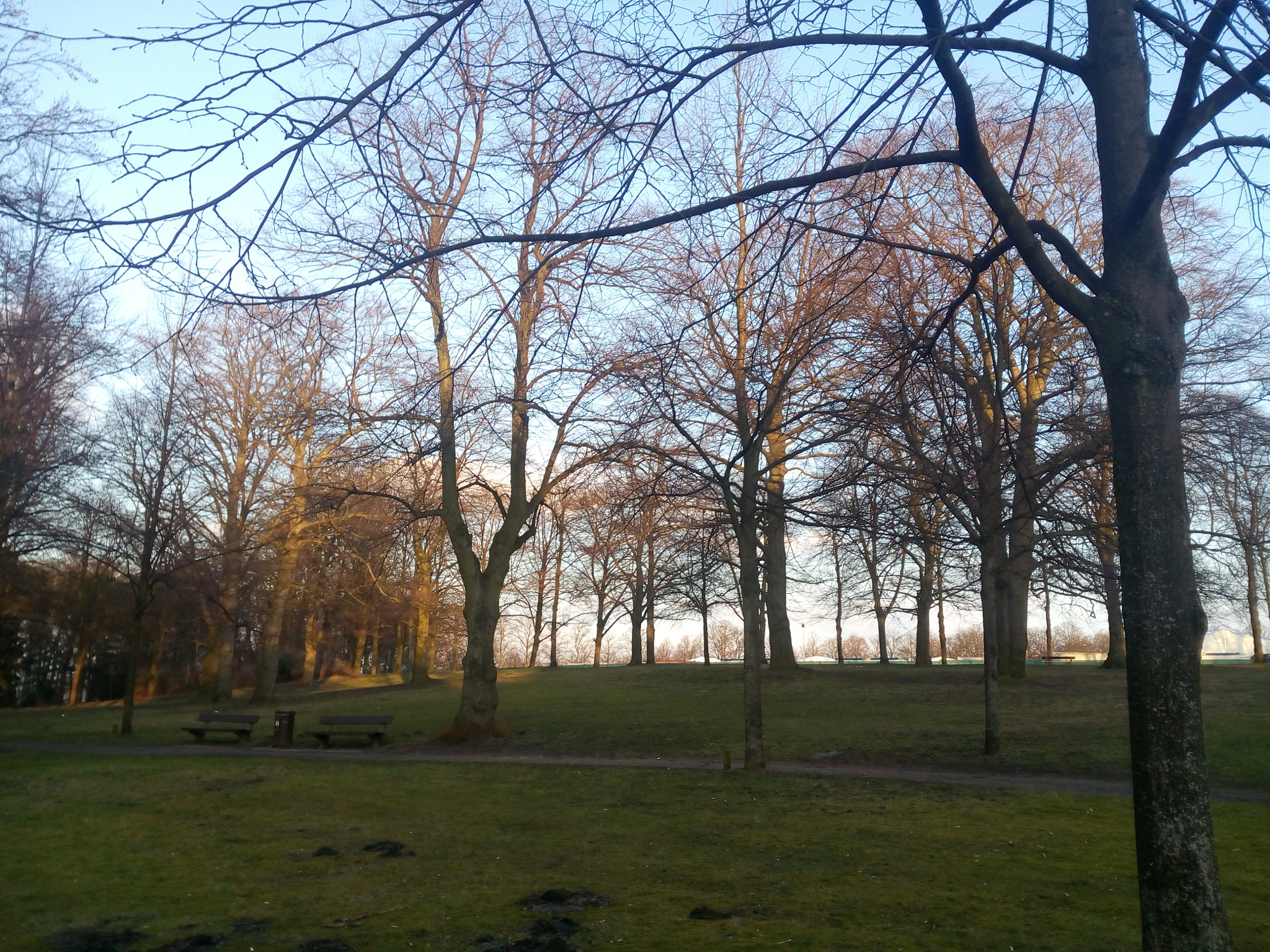 Micromax A316 sample photo. Nature!  photography