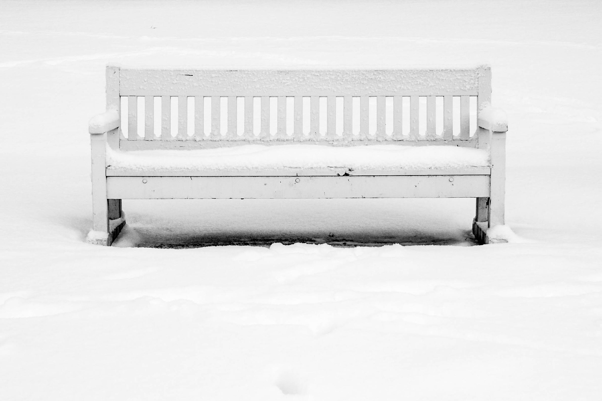 Canon EOS 550D (EOS Rebel T2i / EOS Kiss X4) sample photo. It was like a poem... photography