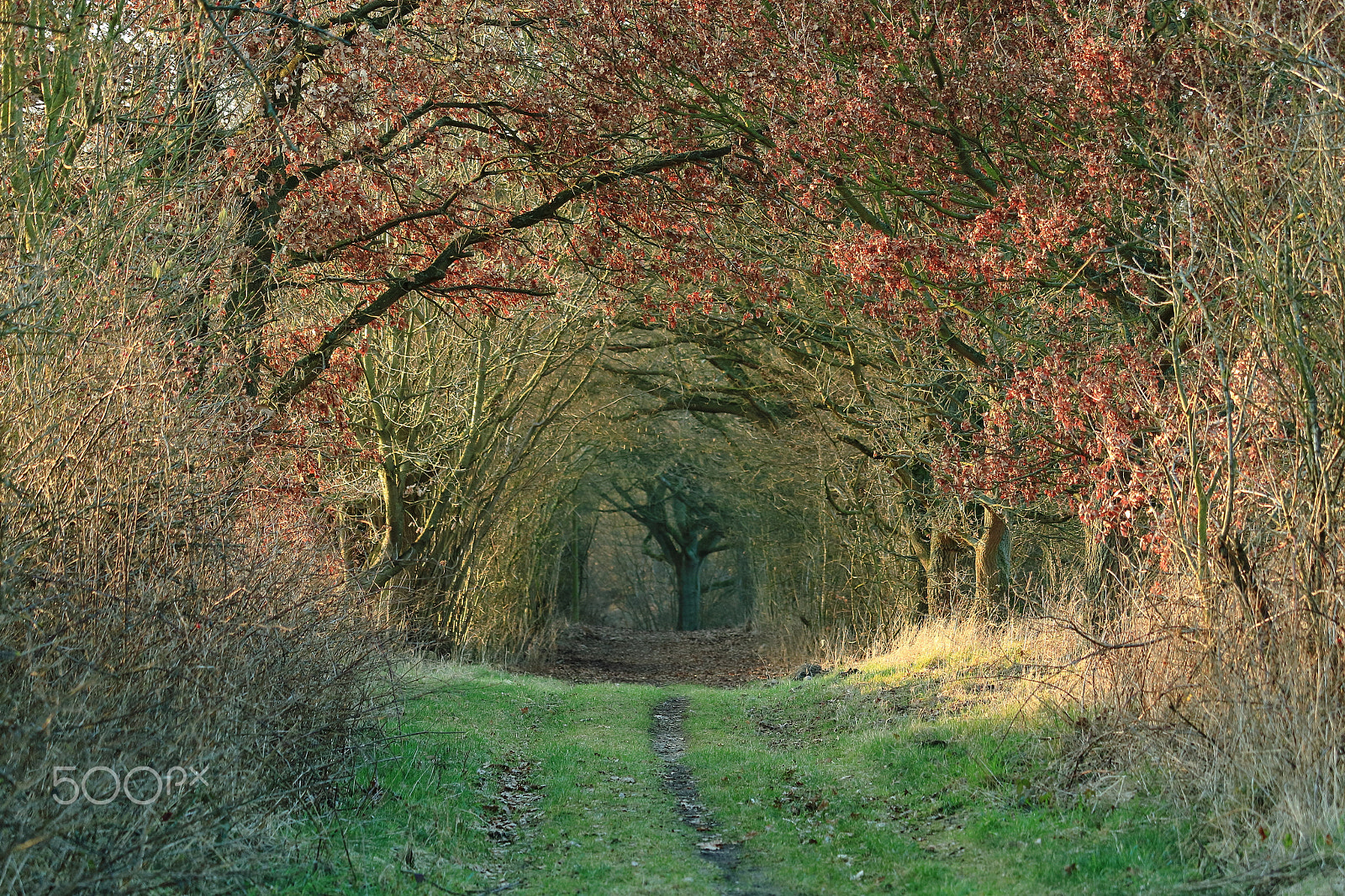Canon EOS M3 sample photo. Schaalsee photography