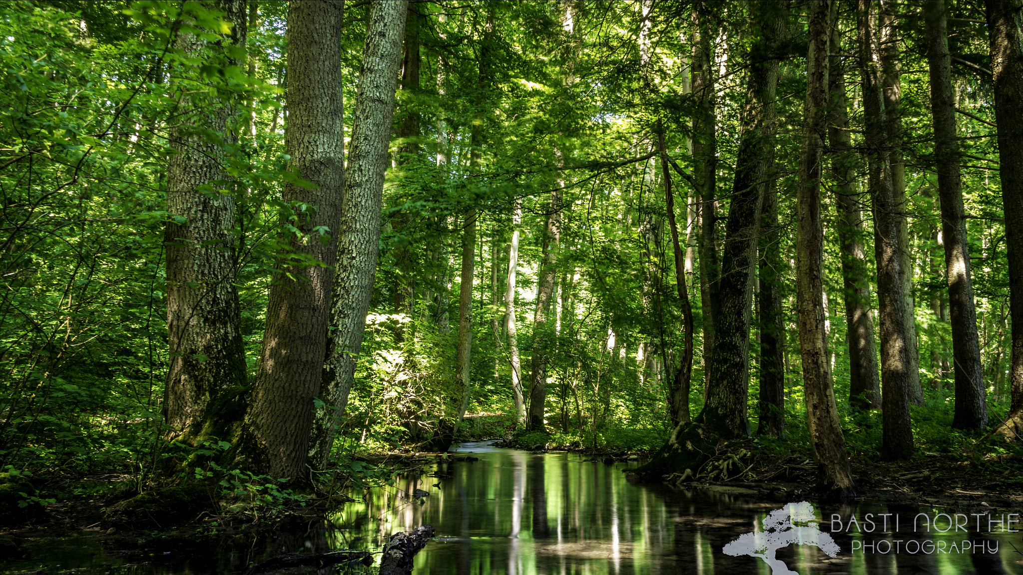 Samsung NX 18-200mm F3.5-6.3 ED OIS sample photo. Wald photography
