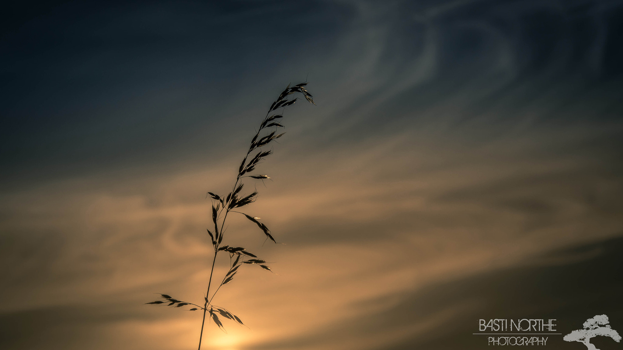 Samsung NX 18-200mm F3.5-6.3 ED OIS sample photo. Sunset photography