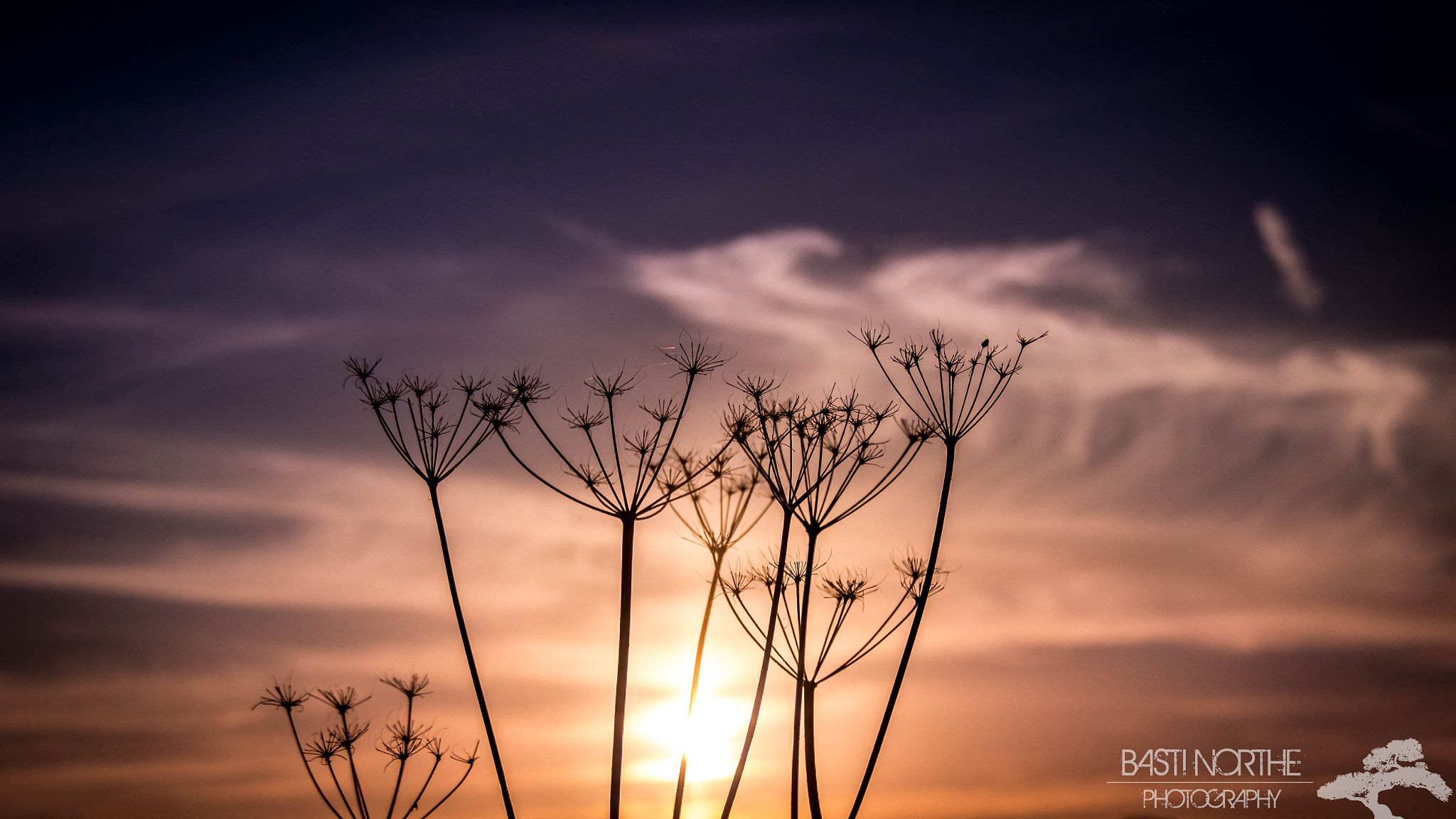 Samsung NX 18-200mm F3.5-6.3 ED OIS sample photo. Sunset photography