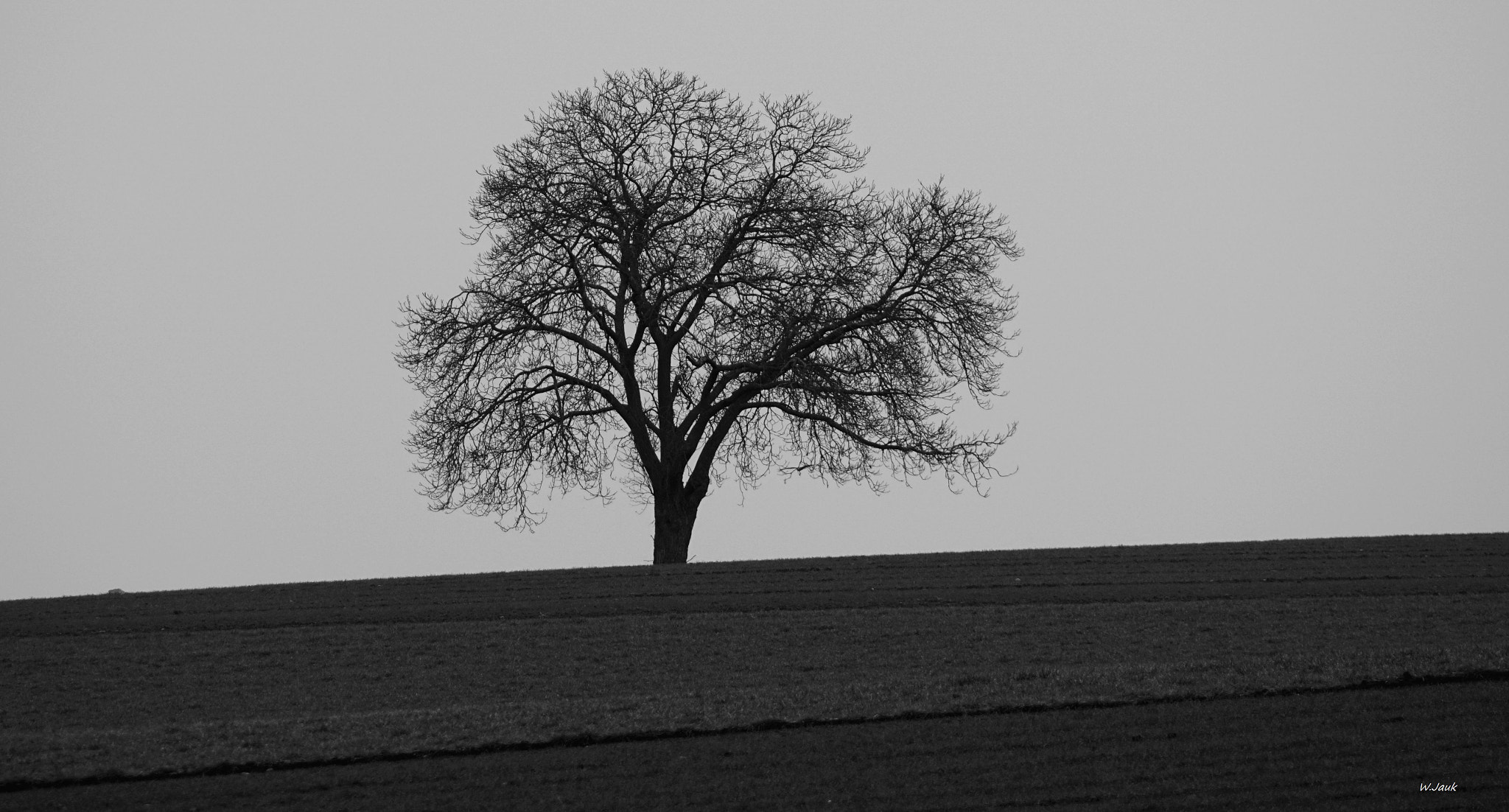 Sony 75-300mm F4.5-5.6 sample photo. Solitude iii photography