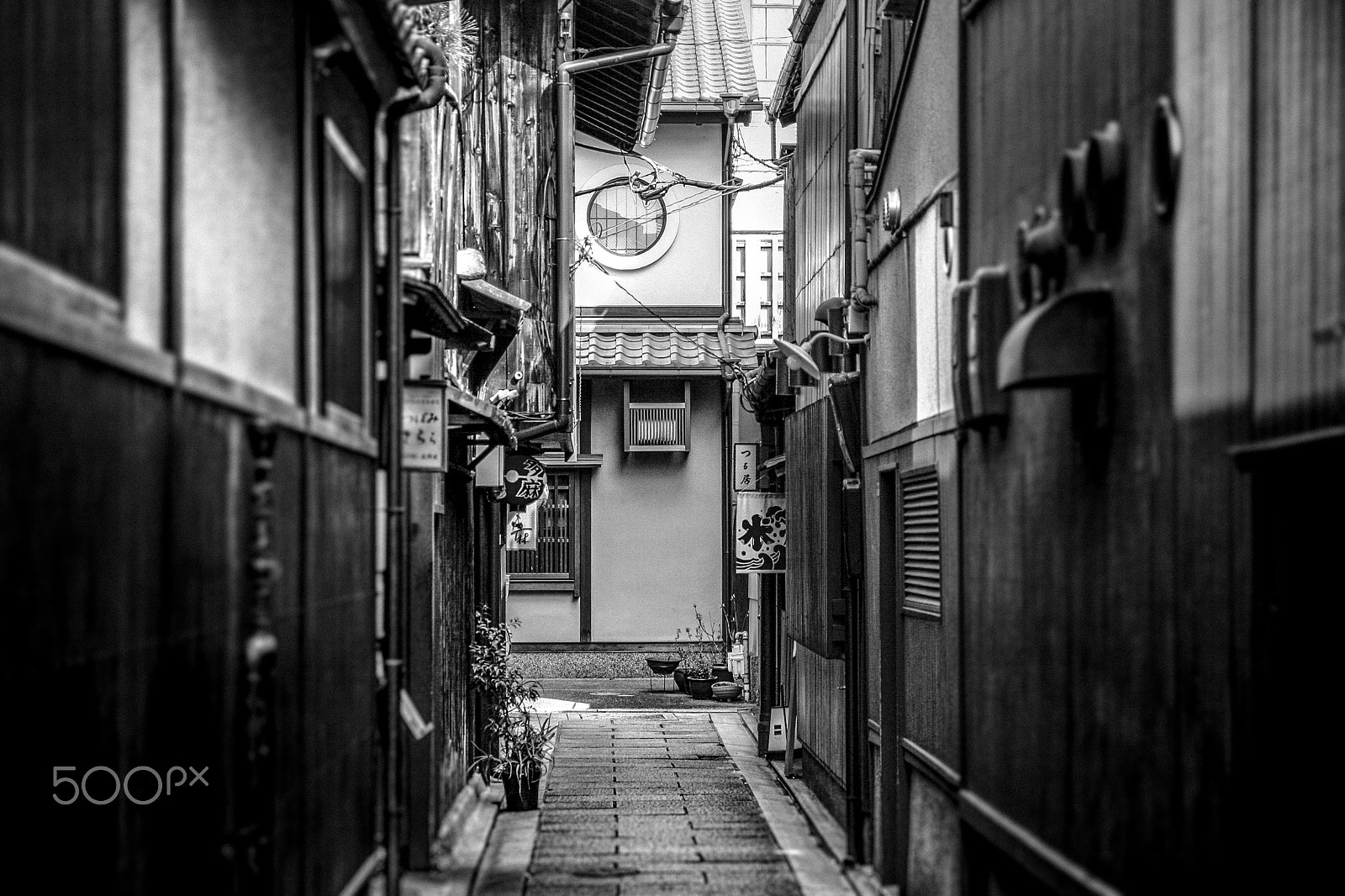 Sigma 18-50mm f/2.8 Macro sample photo. Out of sight photography