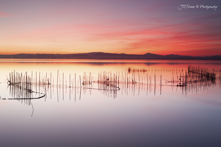 Canon EOS 5D Mark II + ZEISS Makro-Planar T* 50mm F2 sample photo. Inferno photography