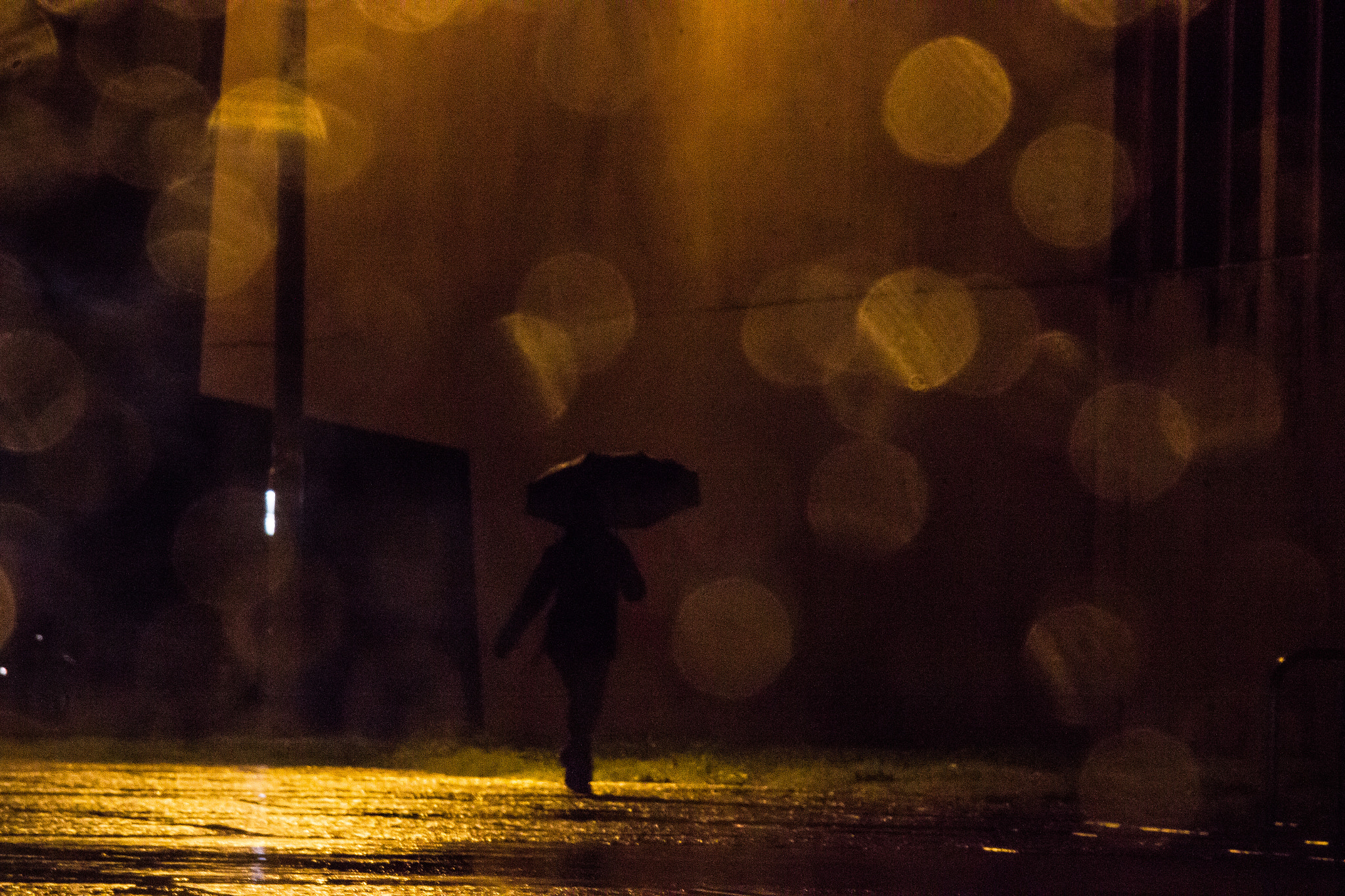 Sigma 18-125mm F3.8-5.6 DC OS HSM sample photo. Elegant umbrella photography