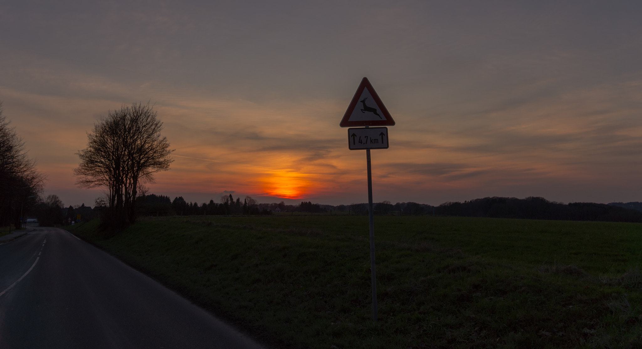 Sony Alpha NEX-5N + Sigma 19mm F2.8 EX DN sample photo. Sunset photography