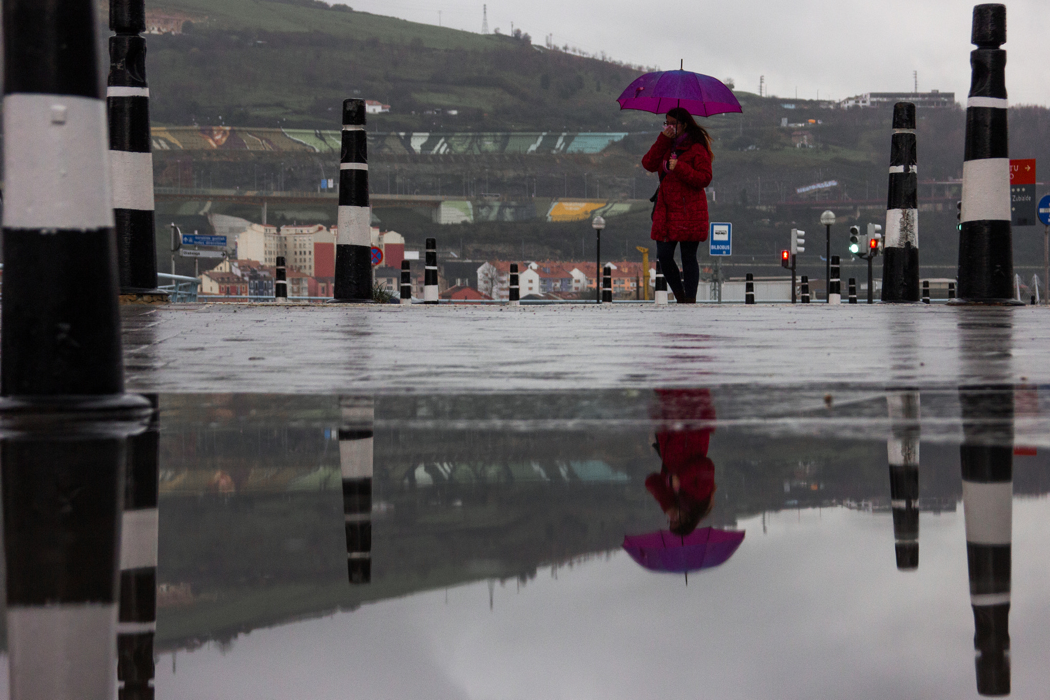 Sigma 18-125mm F3.8-5.6 DC OS HSM sample photo. Purple rain photography
